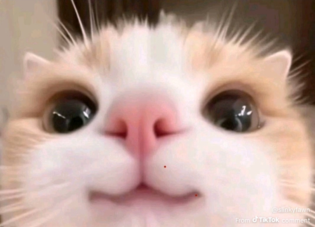 user avatar image for Anonymous Chicken #2661456