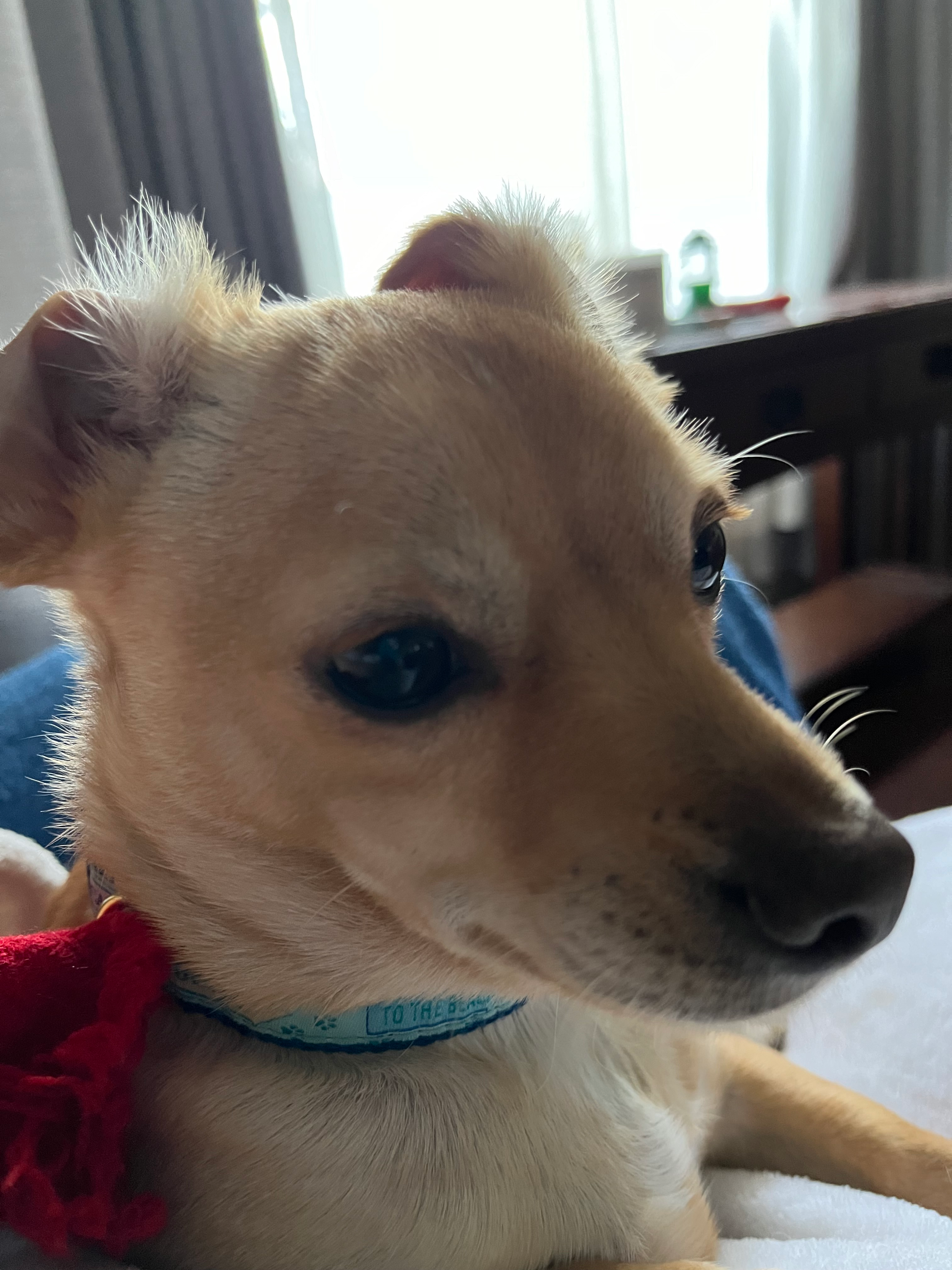 user avatar image for Marshall Tena