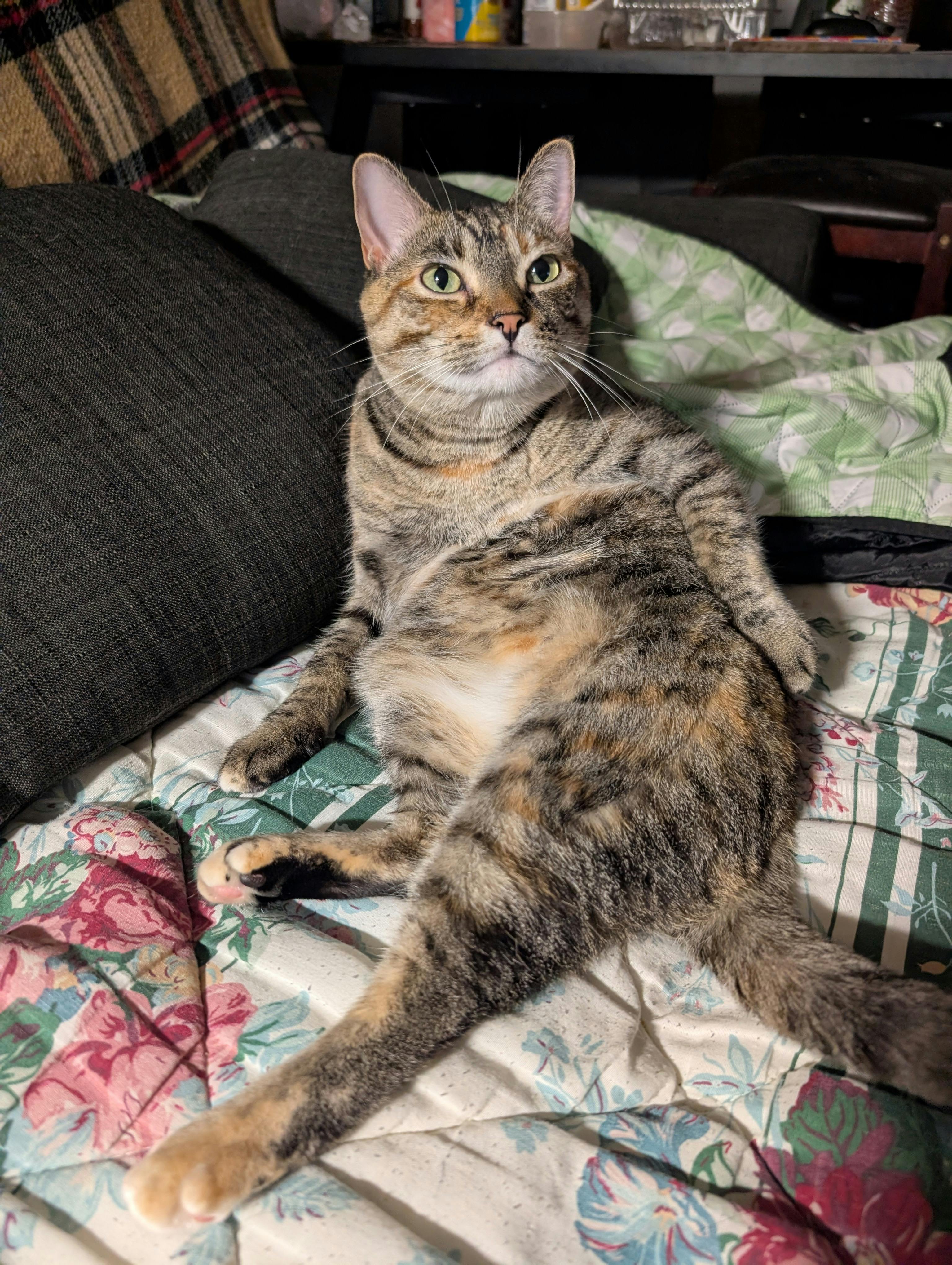 user avatar image for Bernadette H