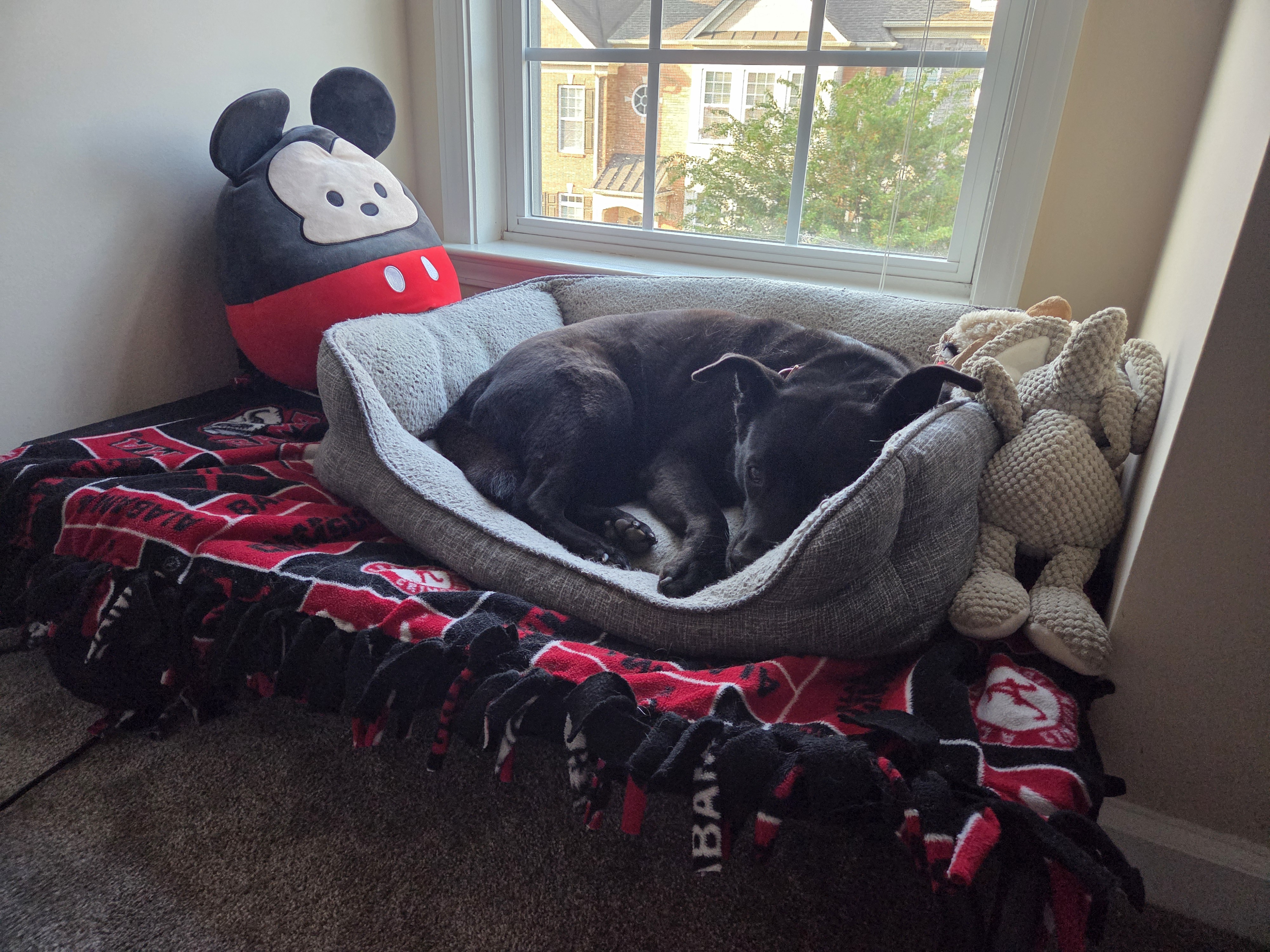 user avatar image for Harrison 