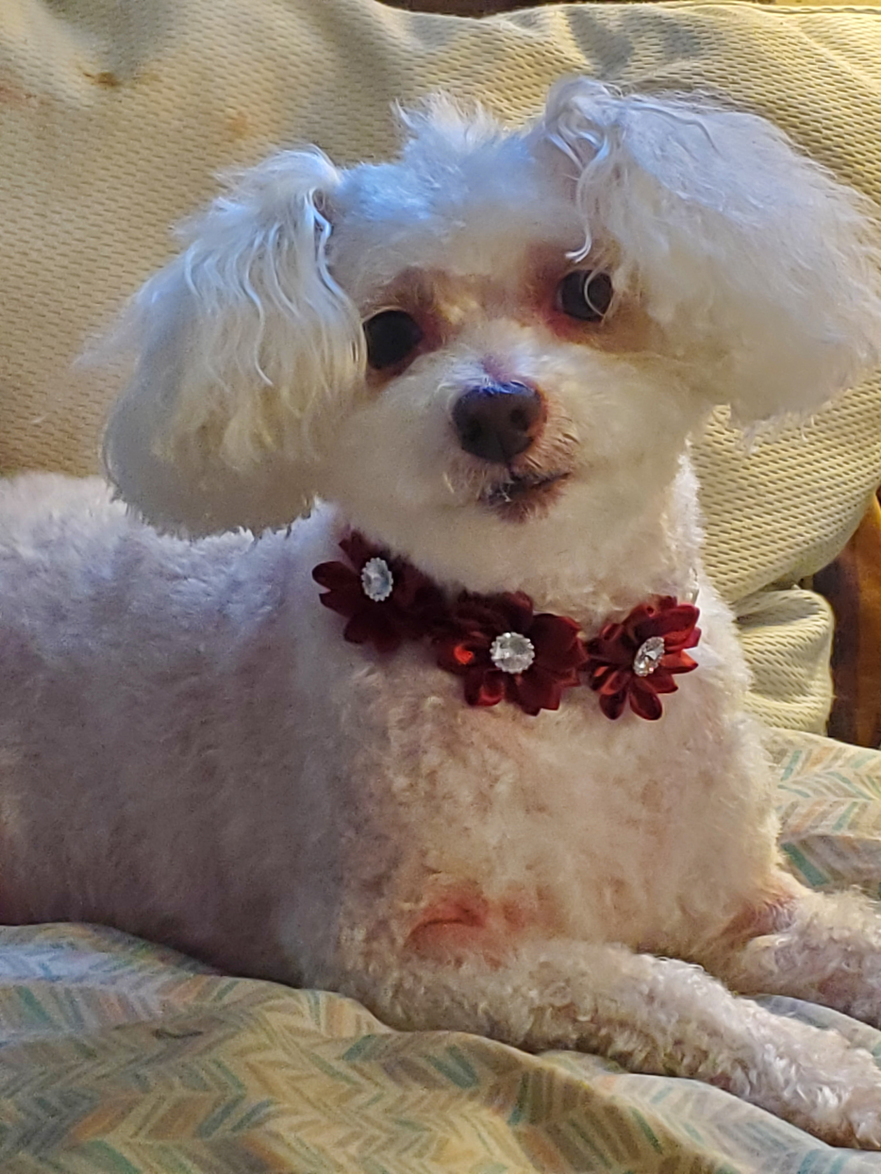 user avatar image for BLACKBIRD