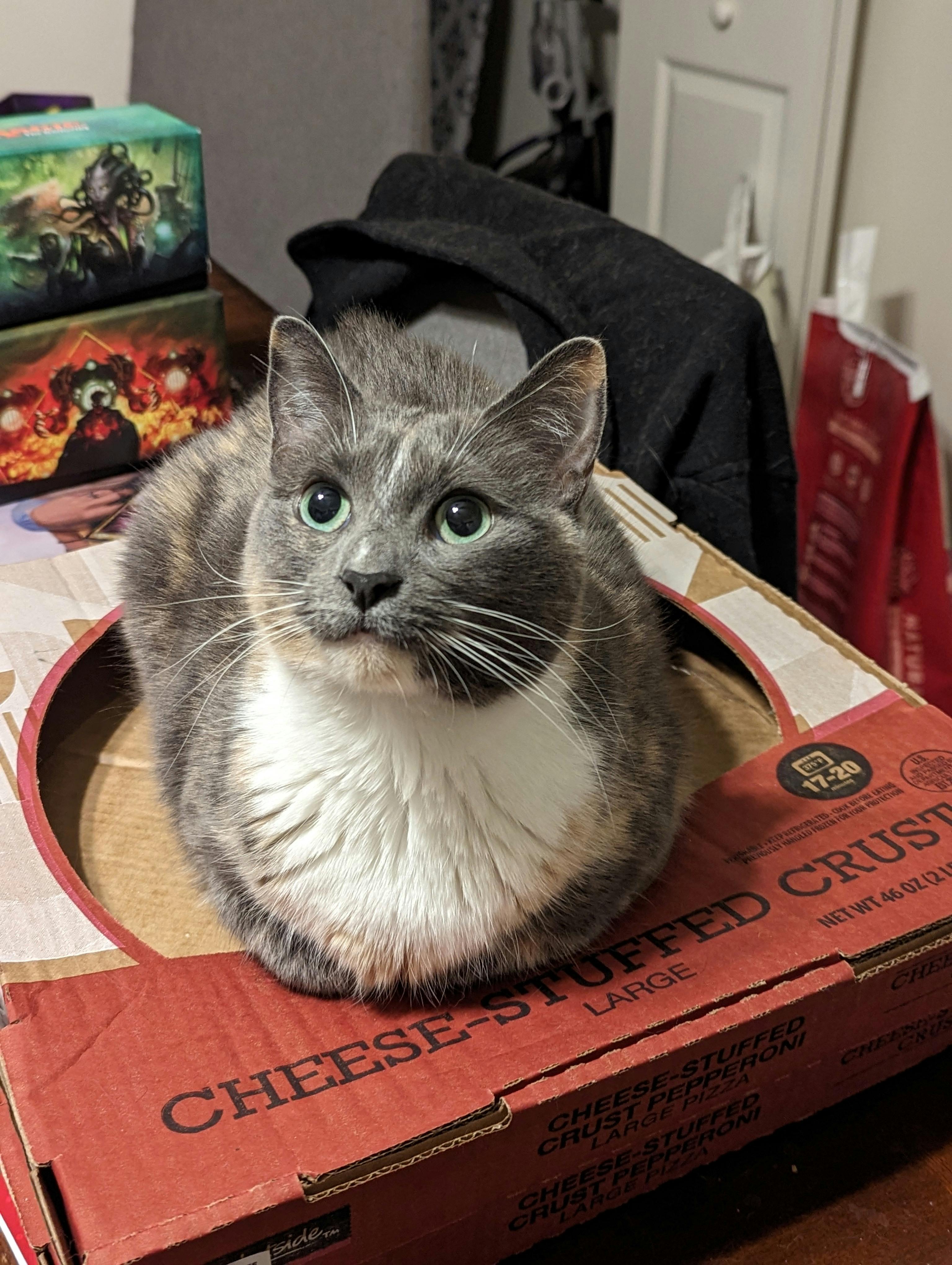 user avatar image for Silver Magpie