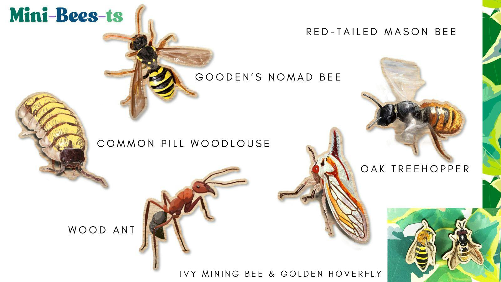 a selection of illustrated wooden items from left to right they show a common pill woodlouse, a gooden's nomad bee, a wood ant, an oak treehopper, a red-tailed mason bee, an ivy mining bee and golden hoverfly.