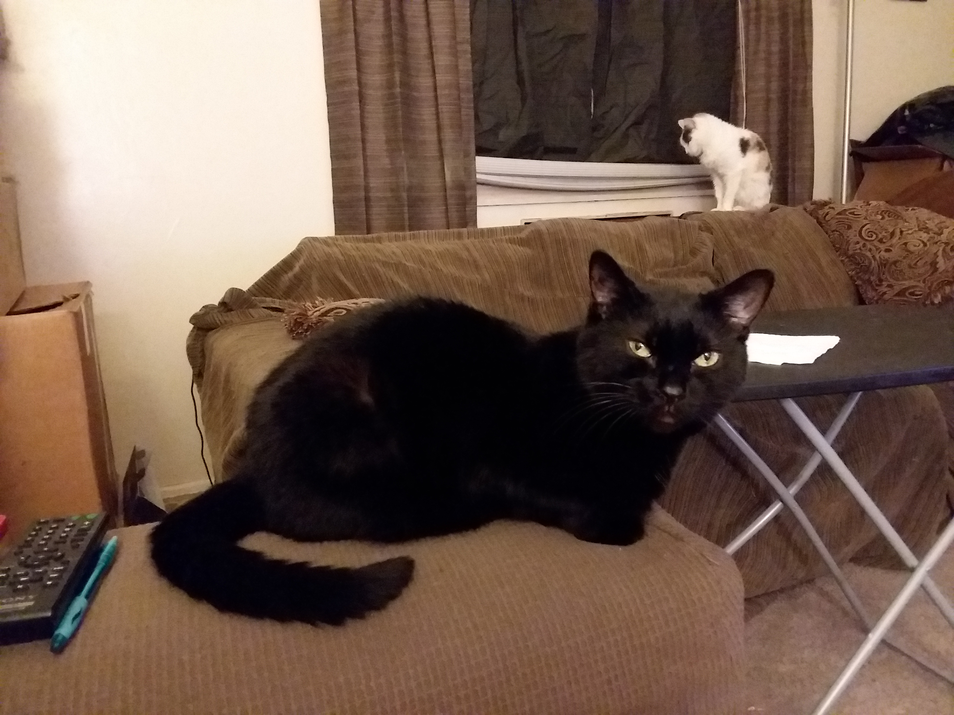 user avatar image for JingerJAS