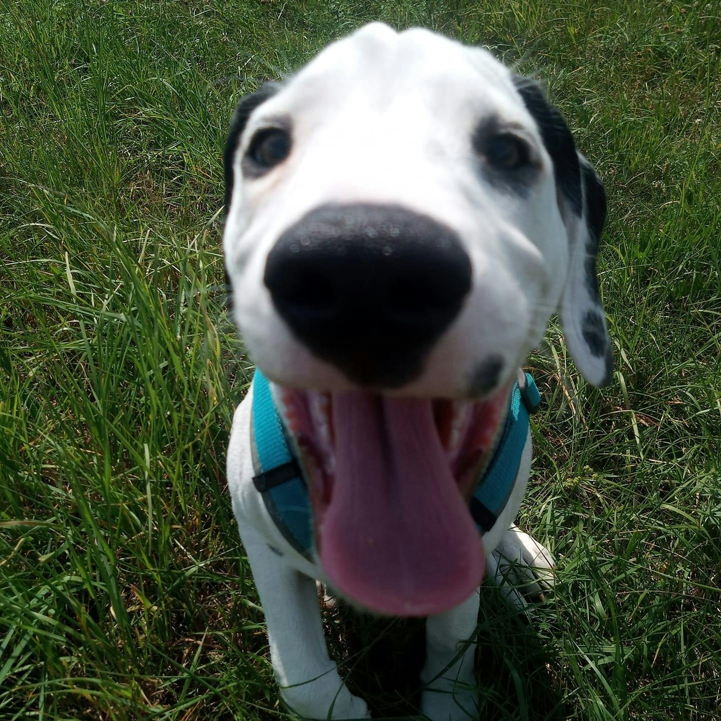 user avatar image for dasNaddy