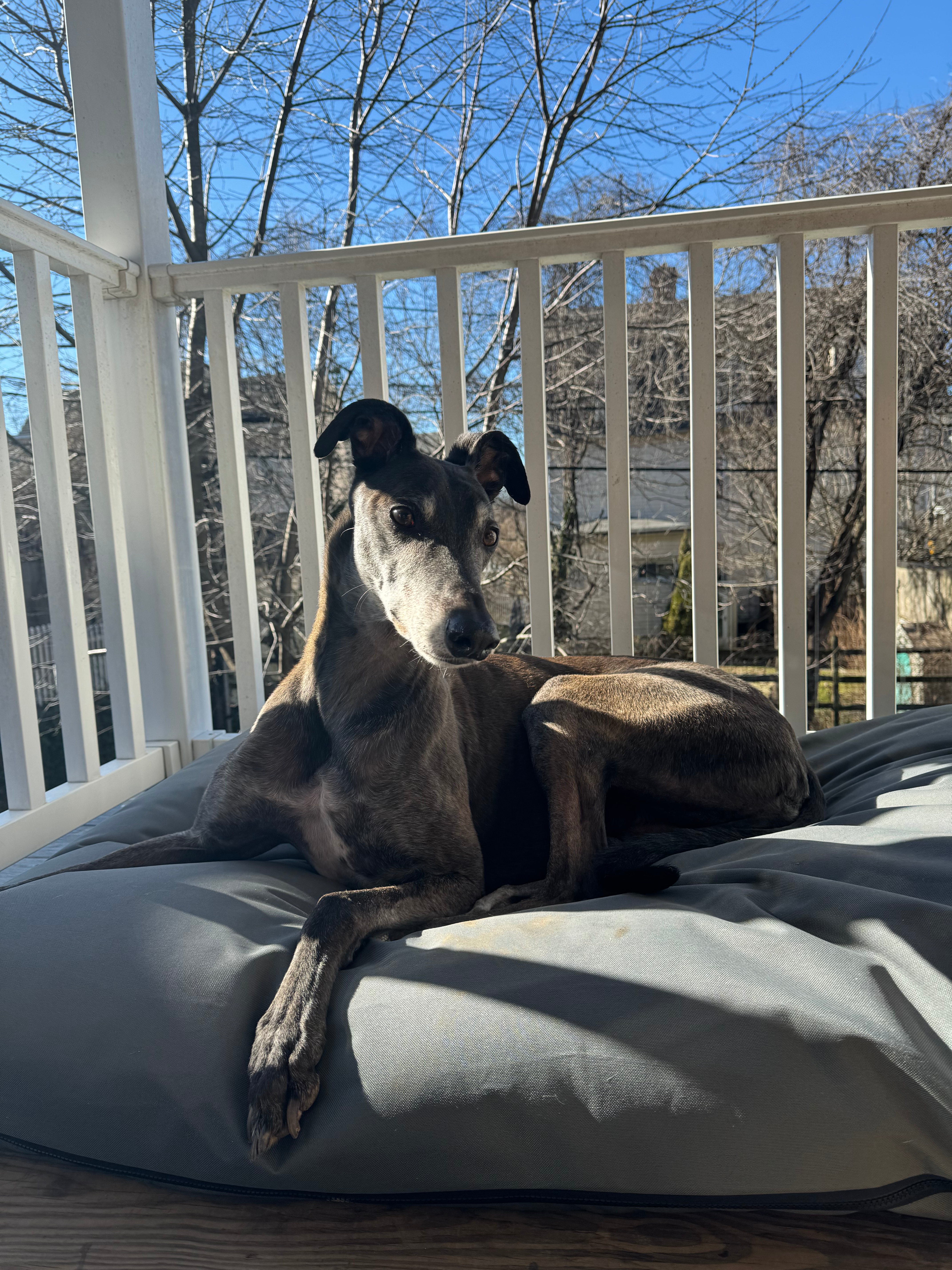 user avatar image for Jasnah