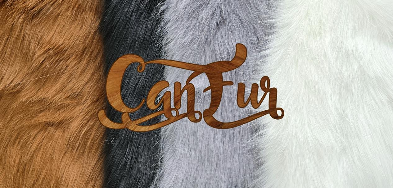 project cover image