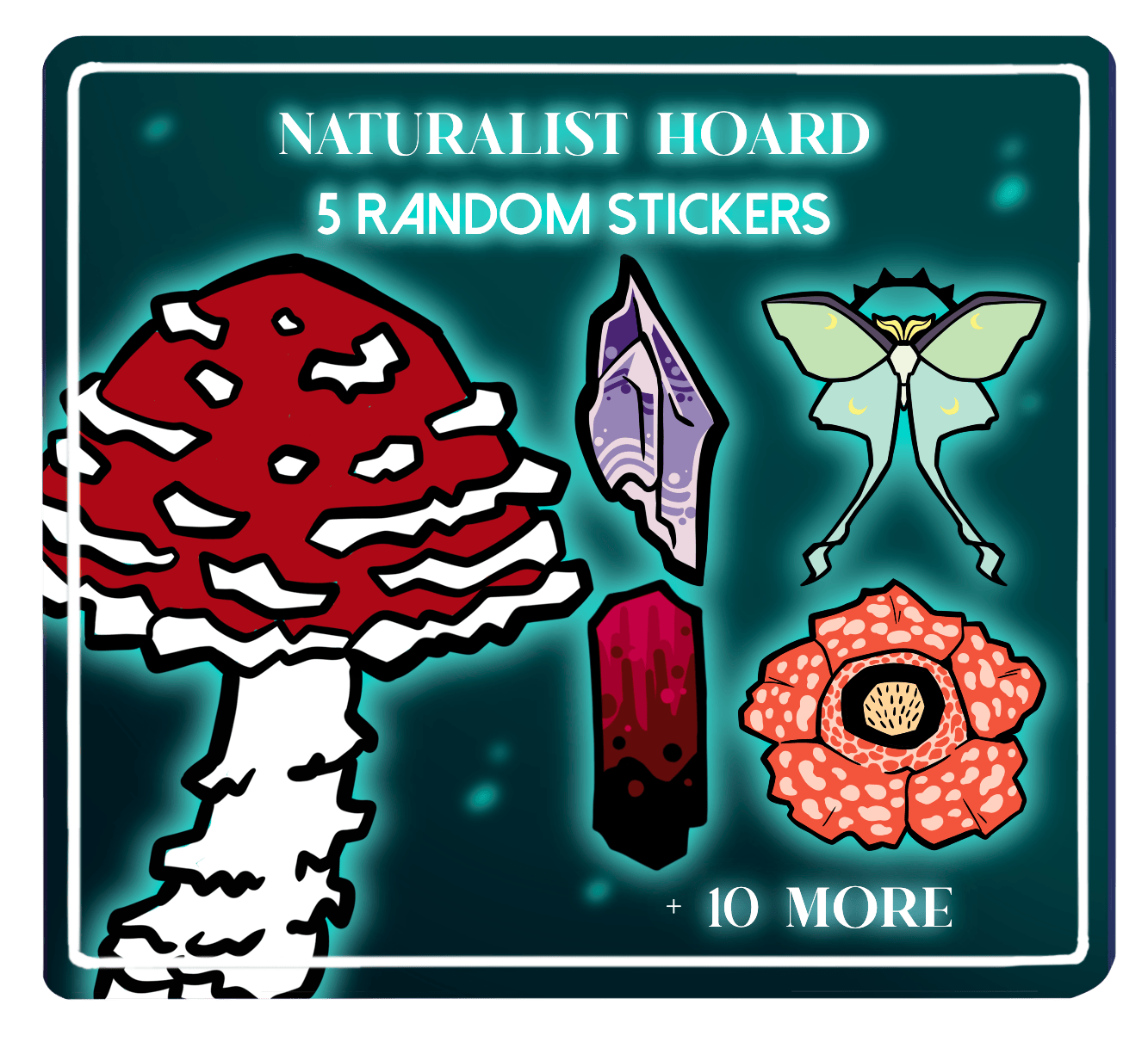 5 random naturalist stickers