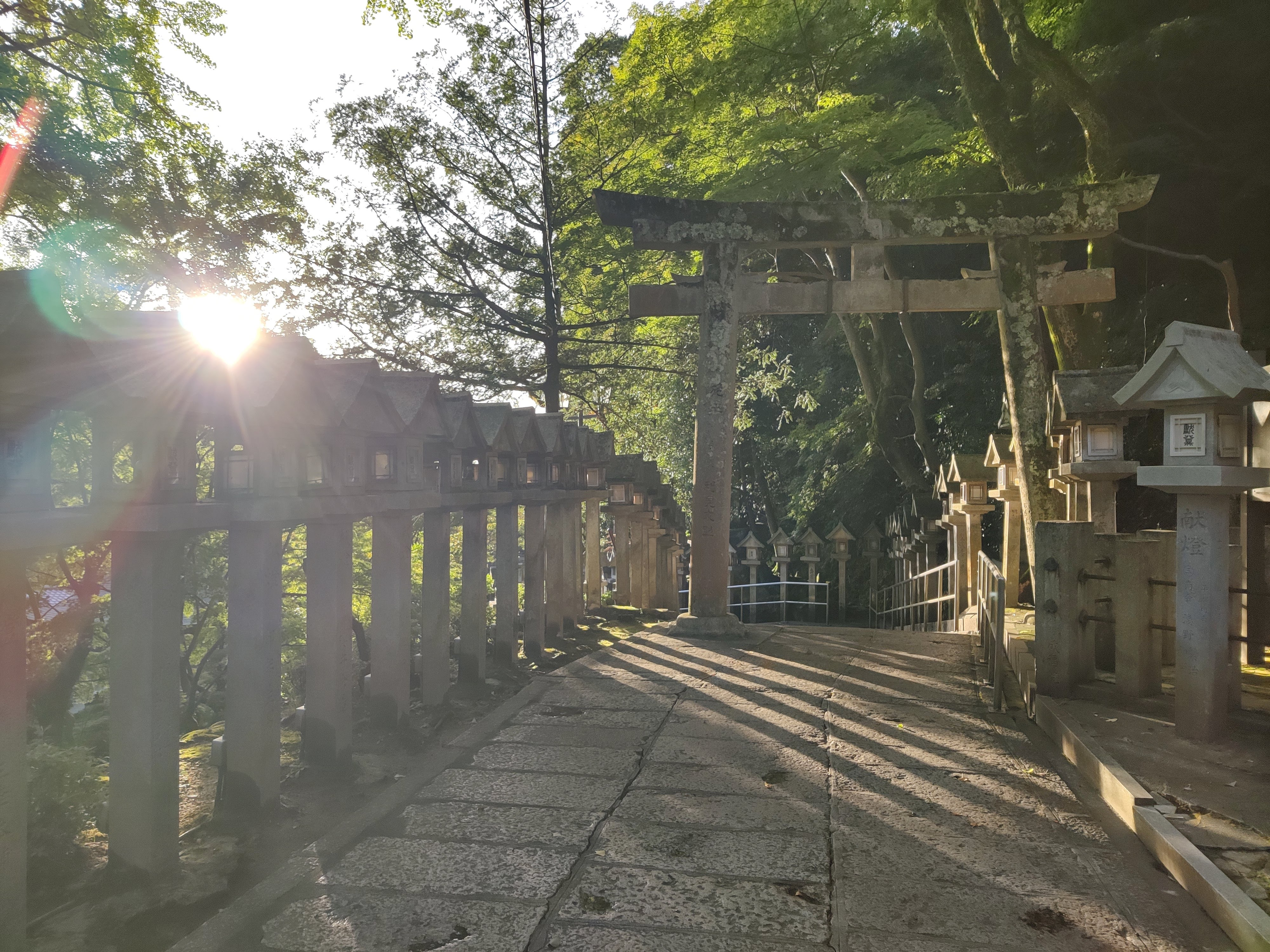 user avatar image for Rhychatz