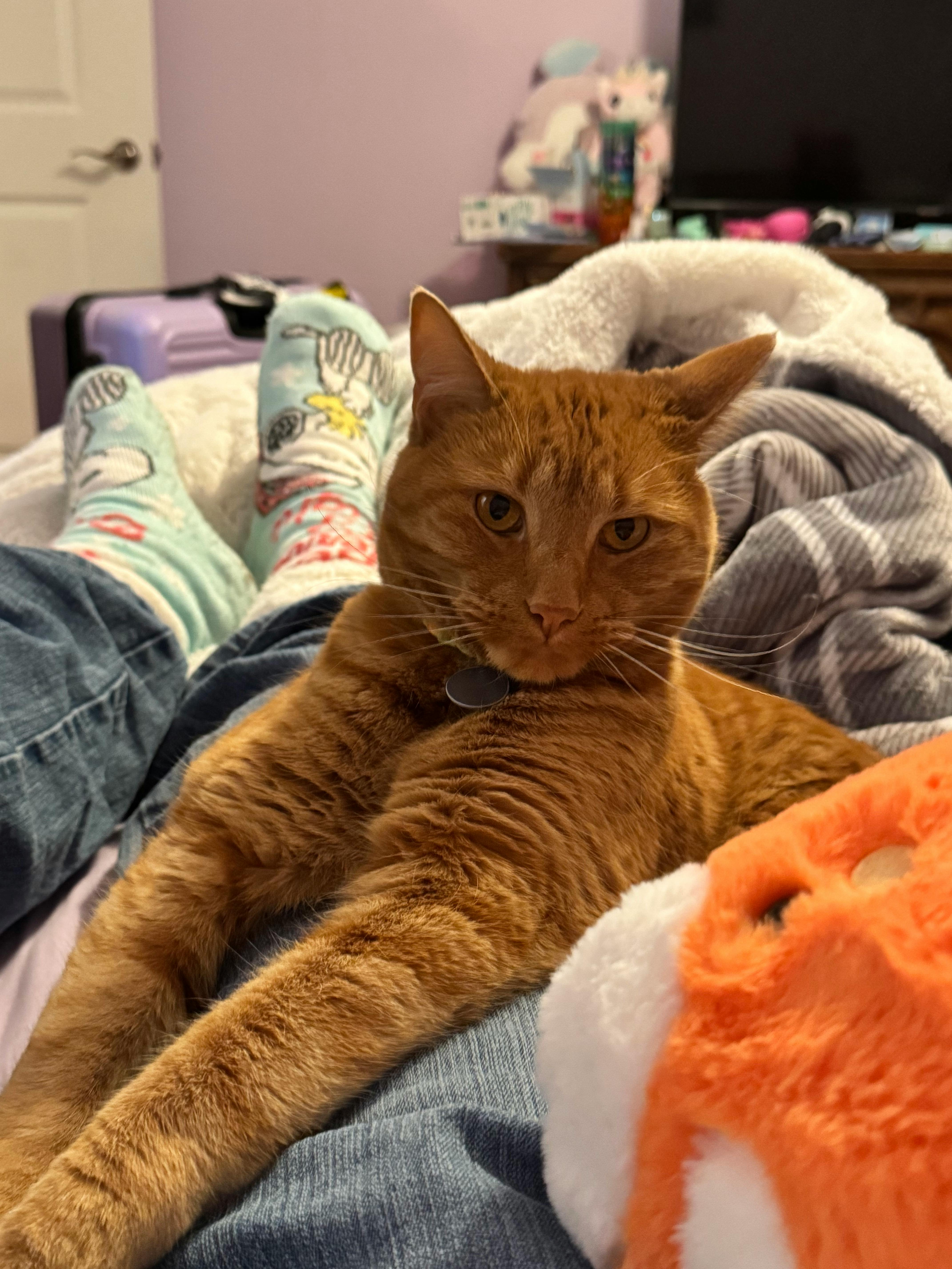 user avatar image for Dana Hartman