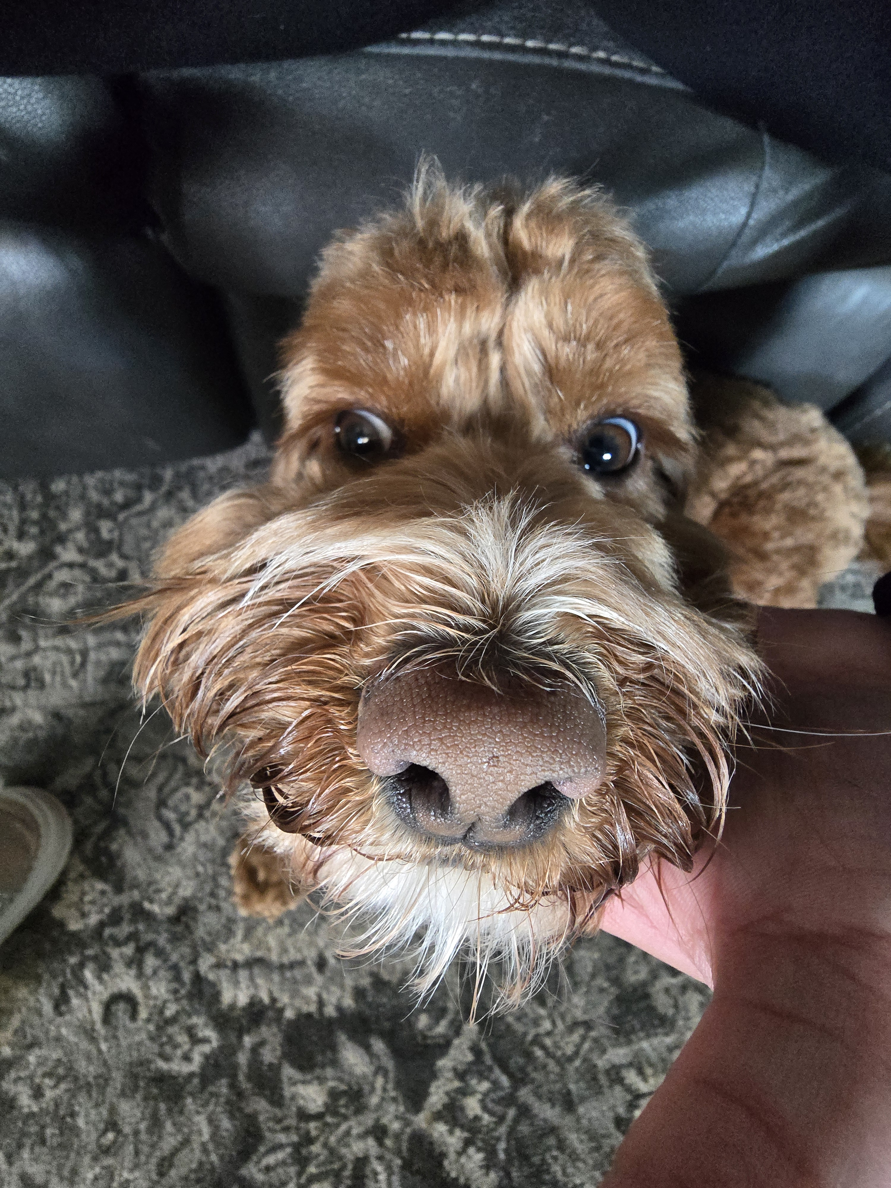 user avatar image for BaddieBren 