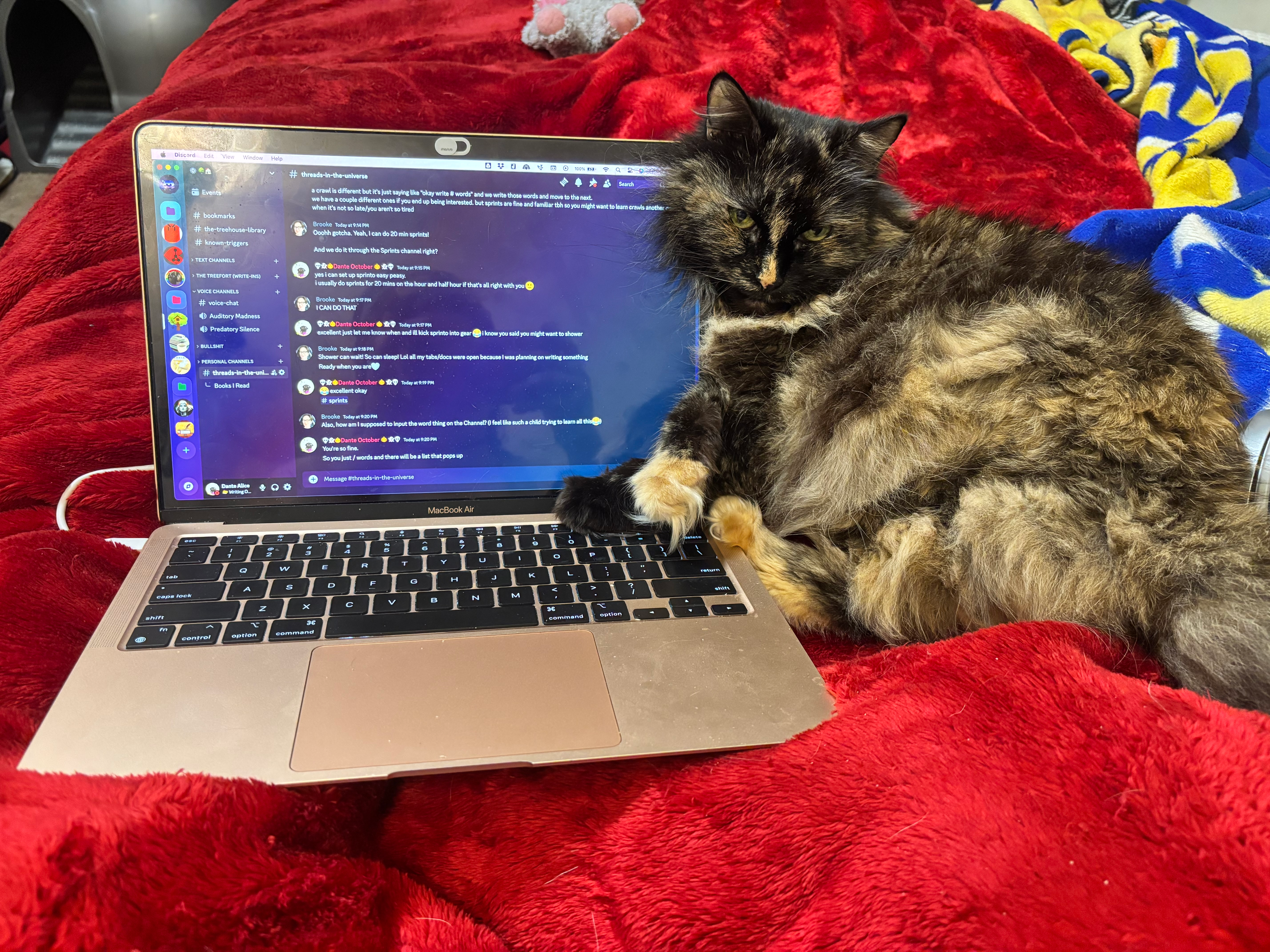 user avatar image for Ivy Hope