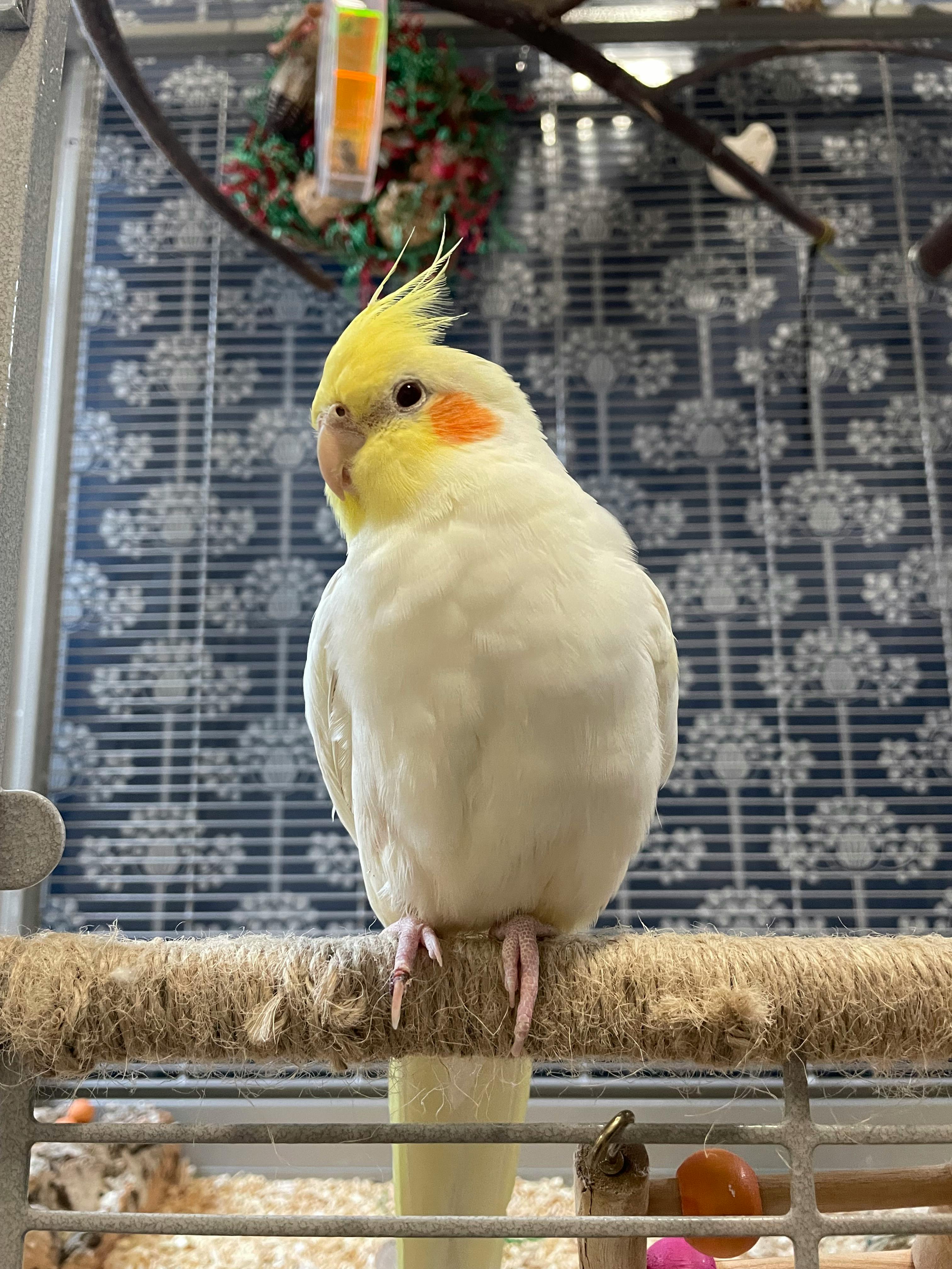 user avatar image for Jo J.