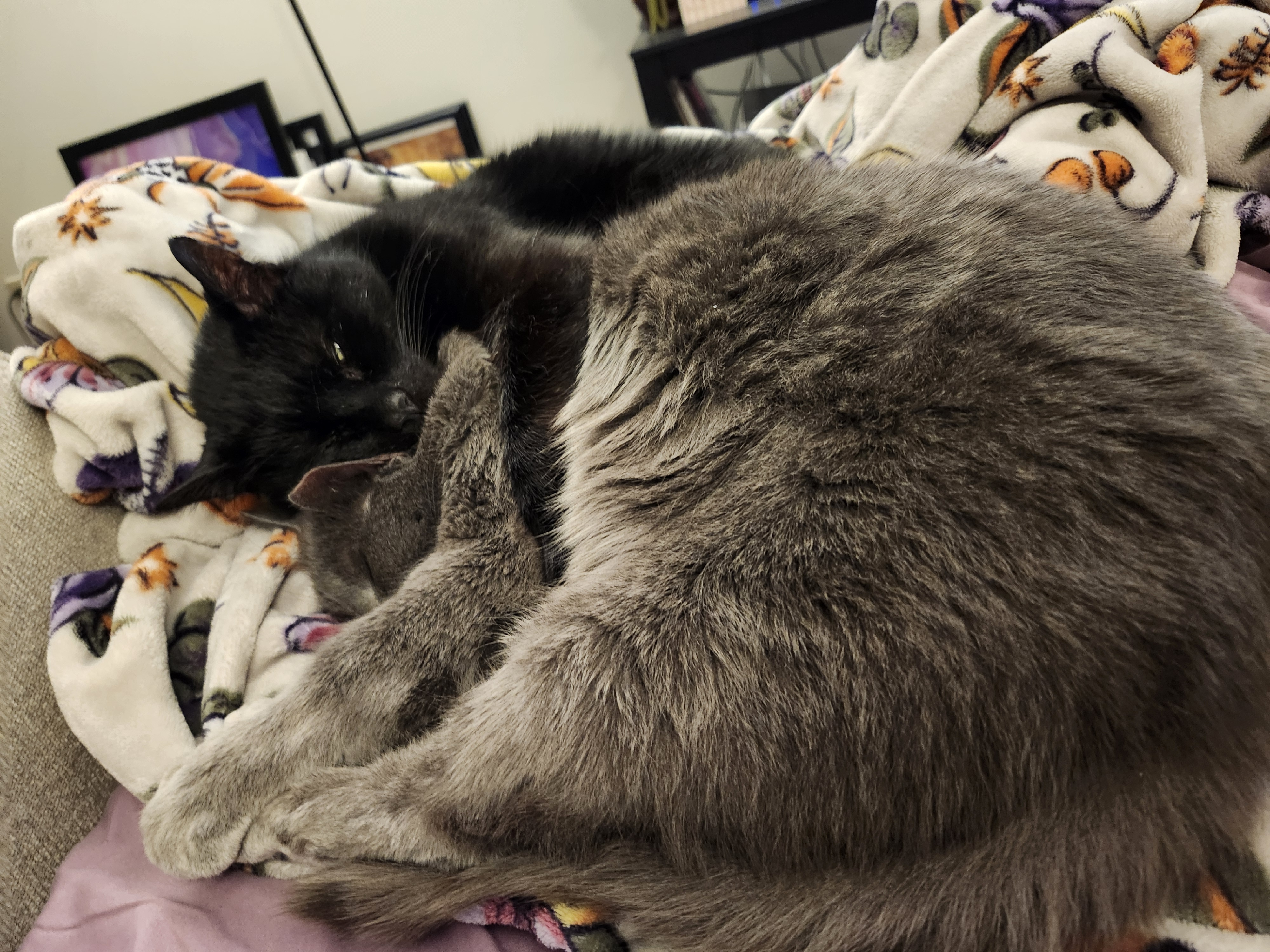 user avatar image for Tasha