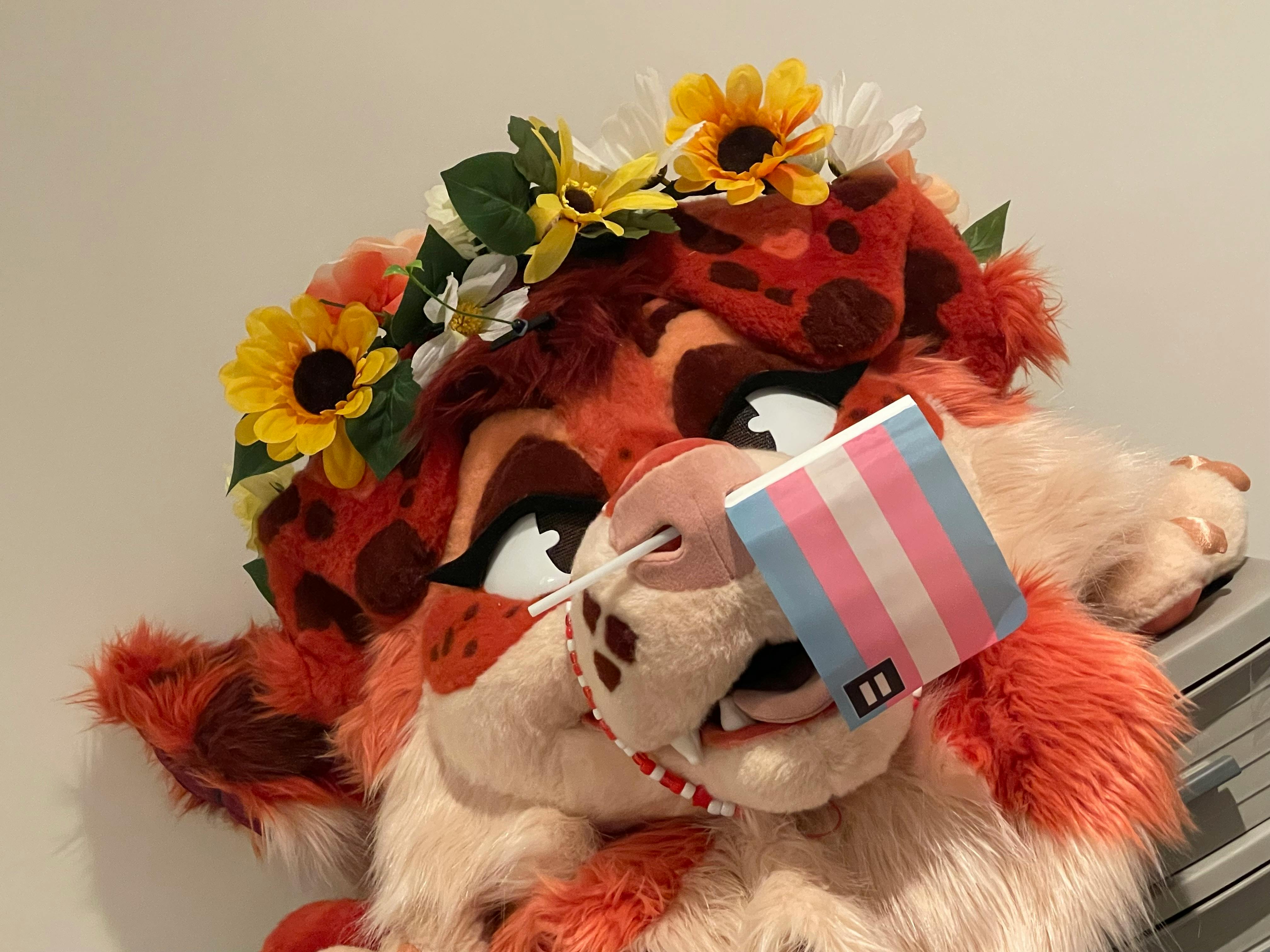 user avatar image for NUM00N