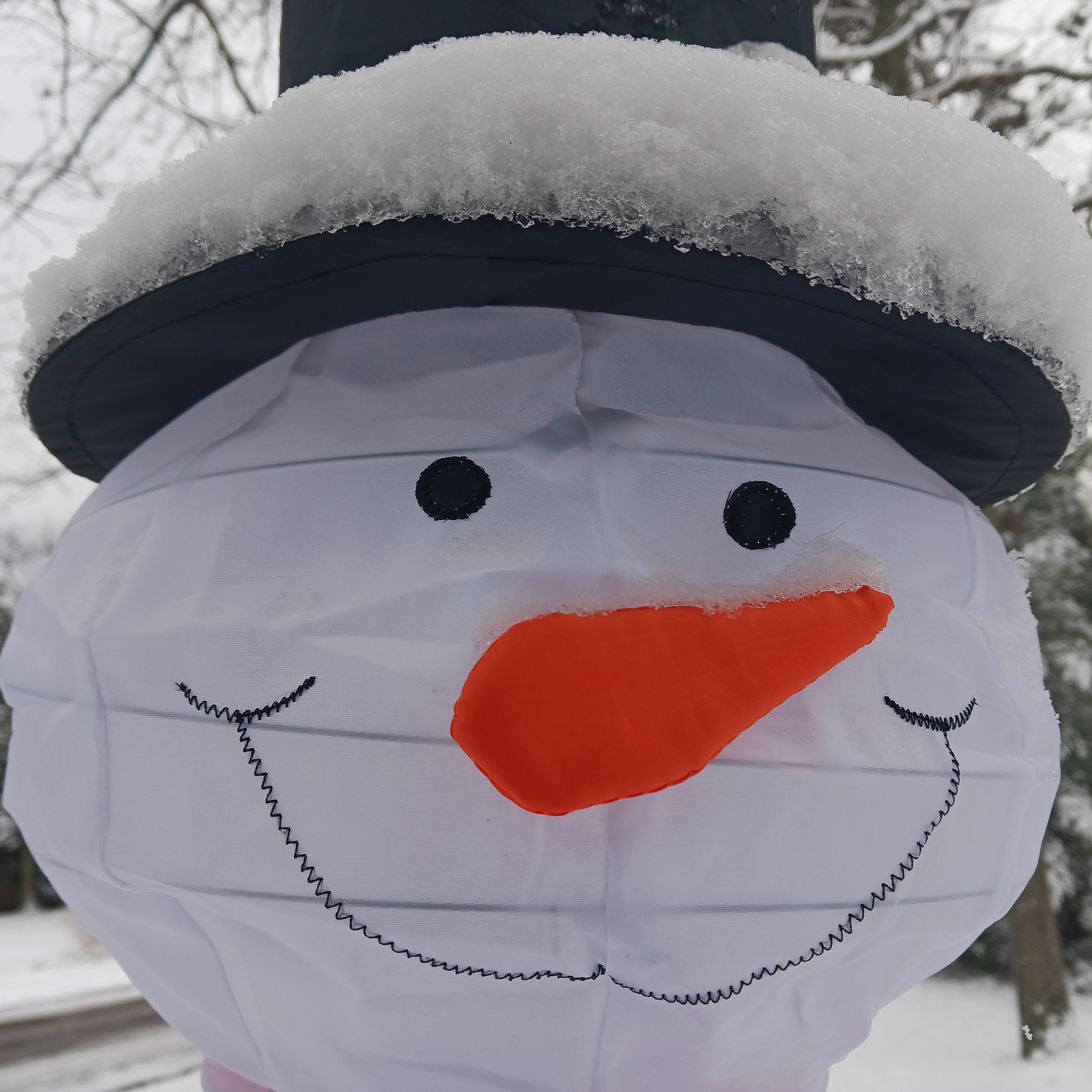 user avatar image for Robert 