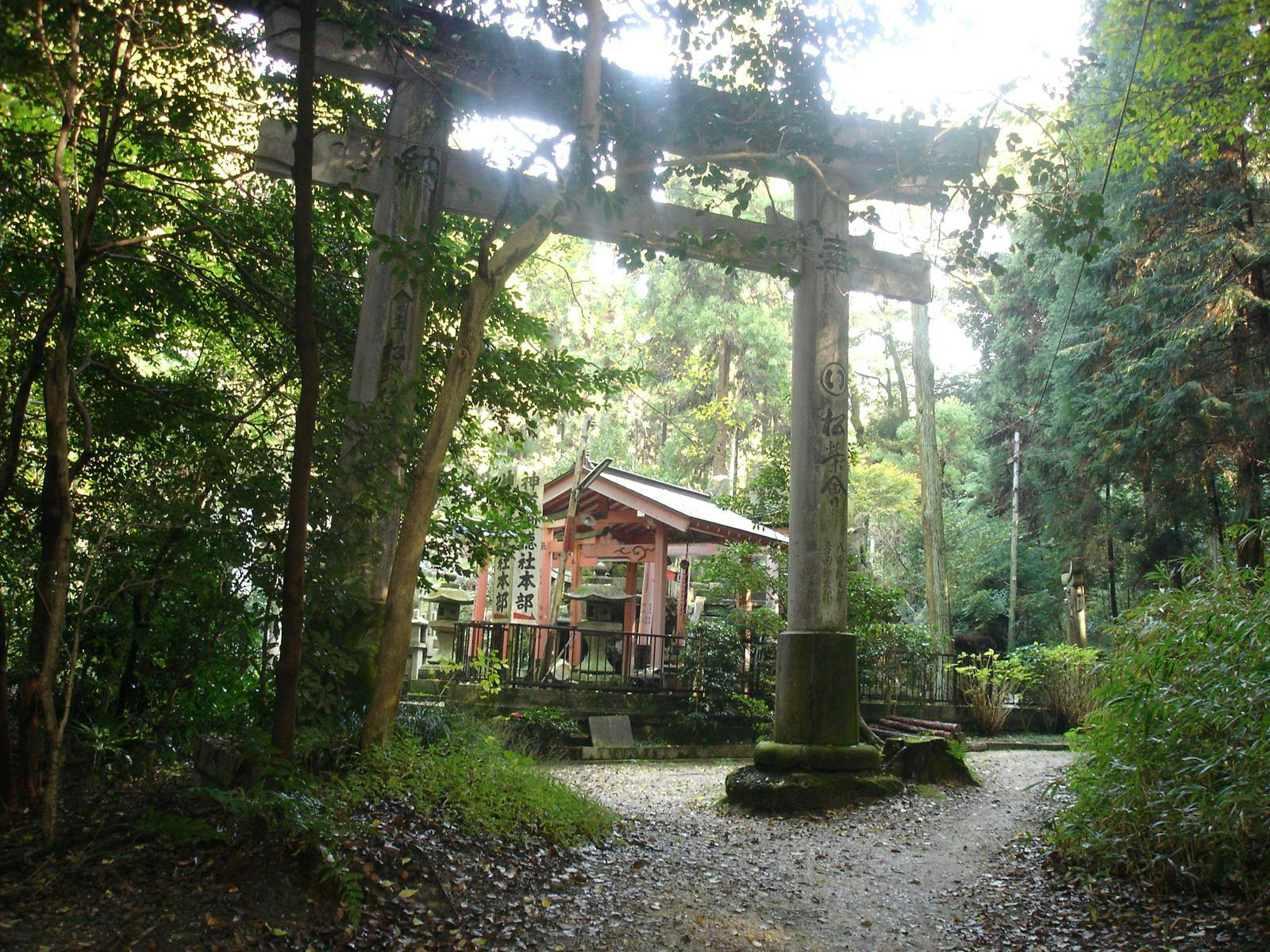 user avatar image for Mary