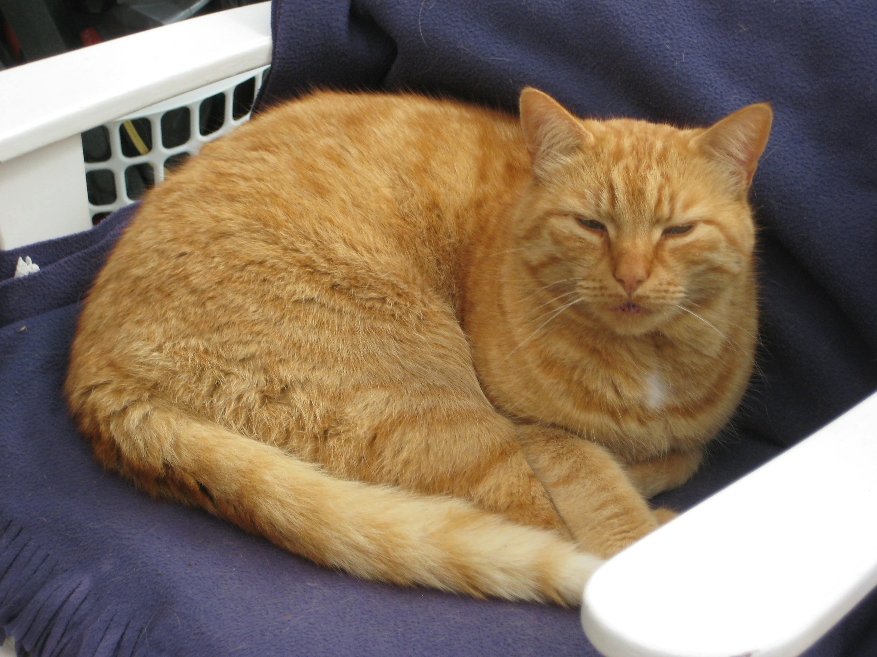 user avatar image for Bundgaard