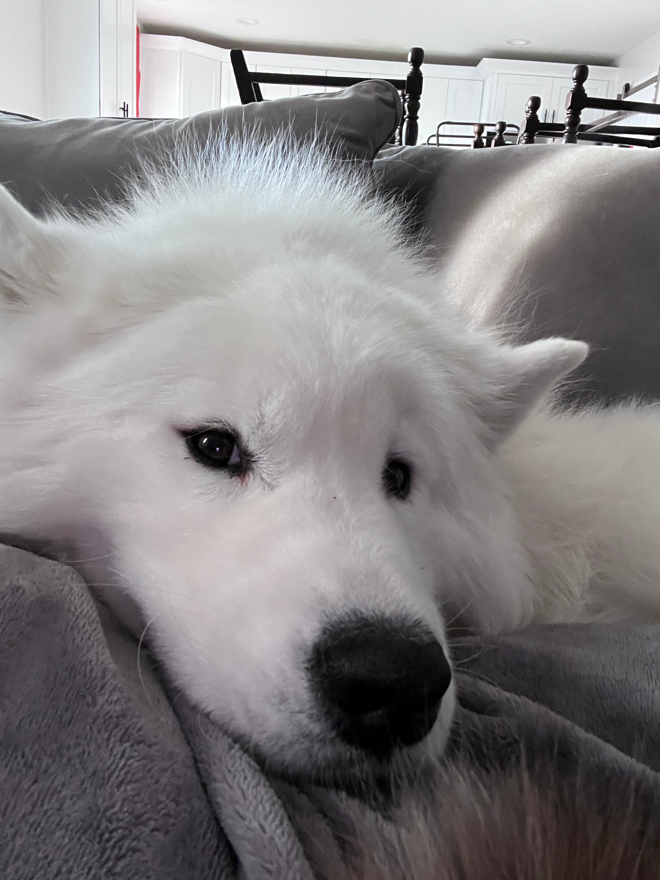 user avatar image for Danny