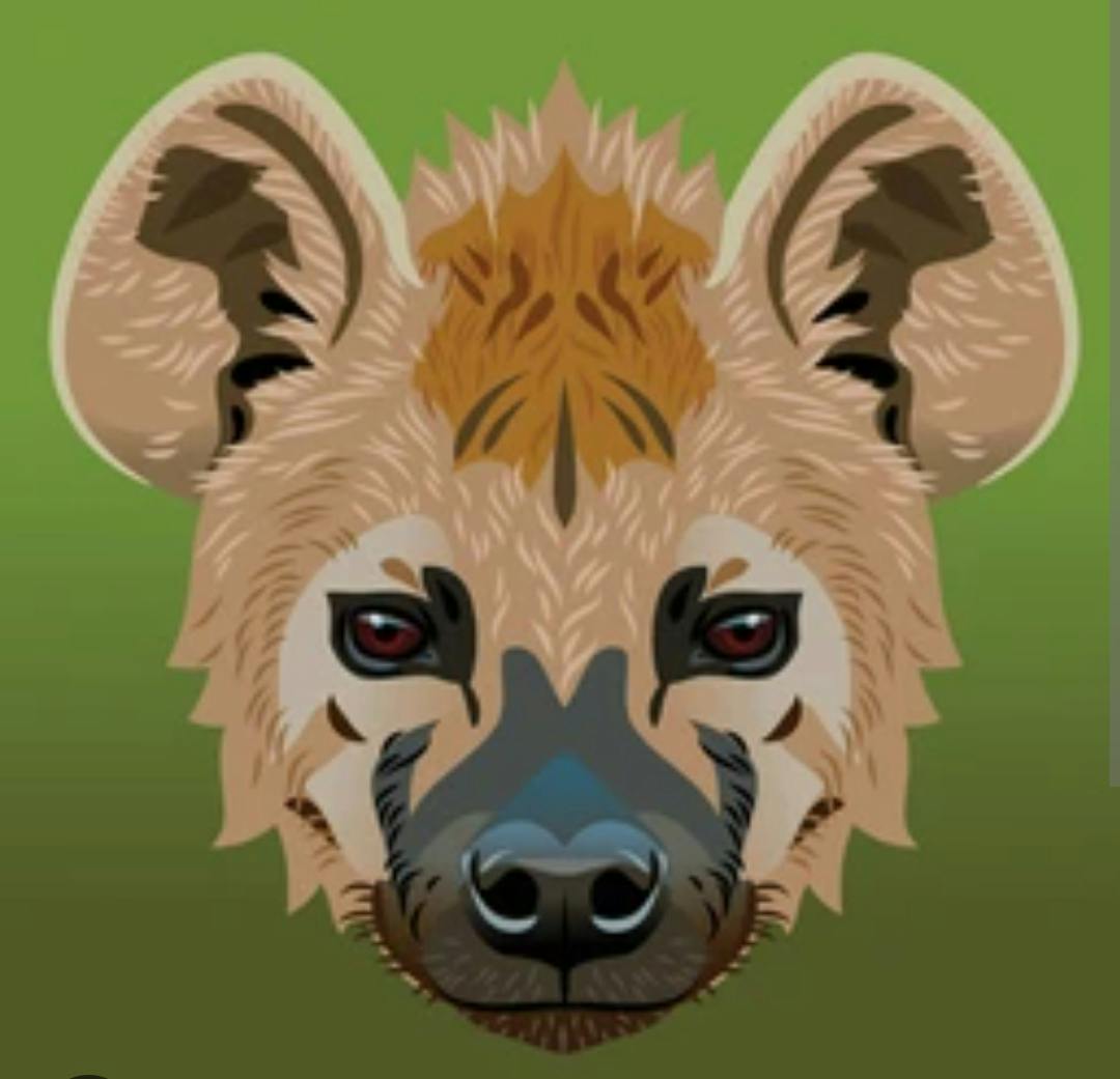 user avatar image for Sakya Craft