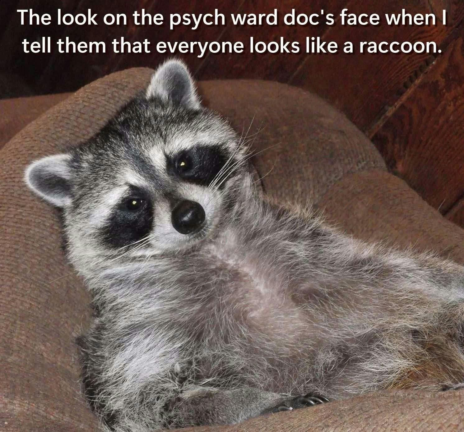 user avatar image for Clover