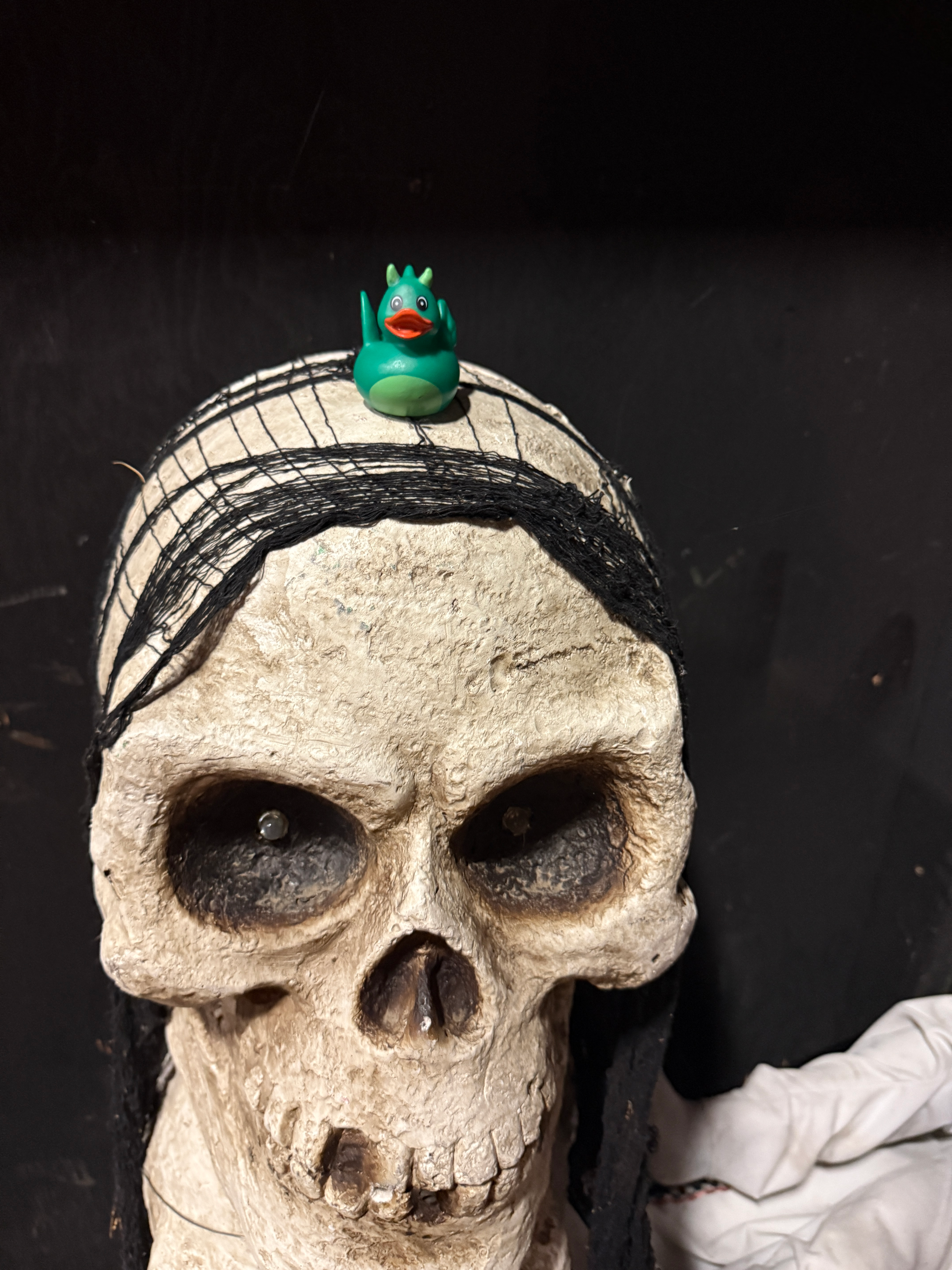 user avatar image for Heff