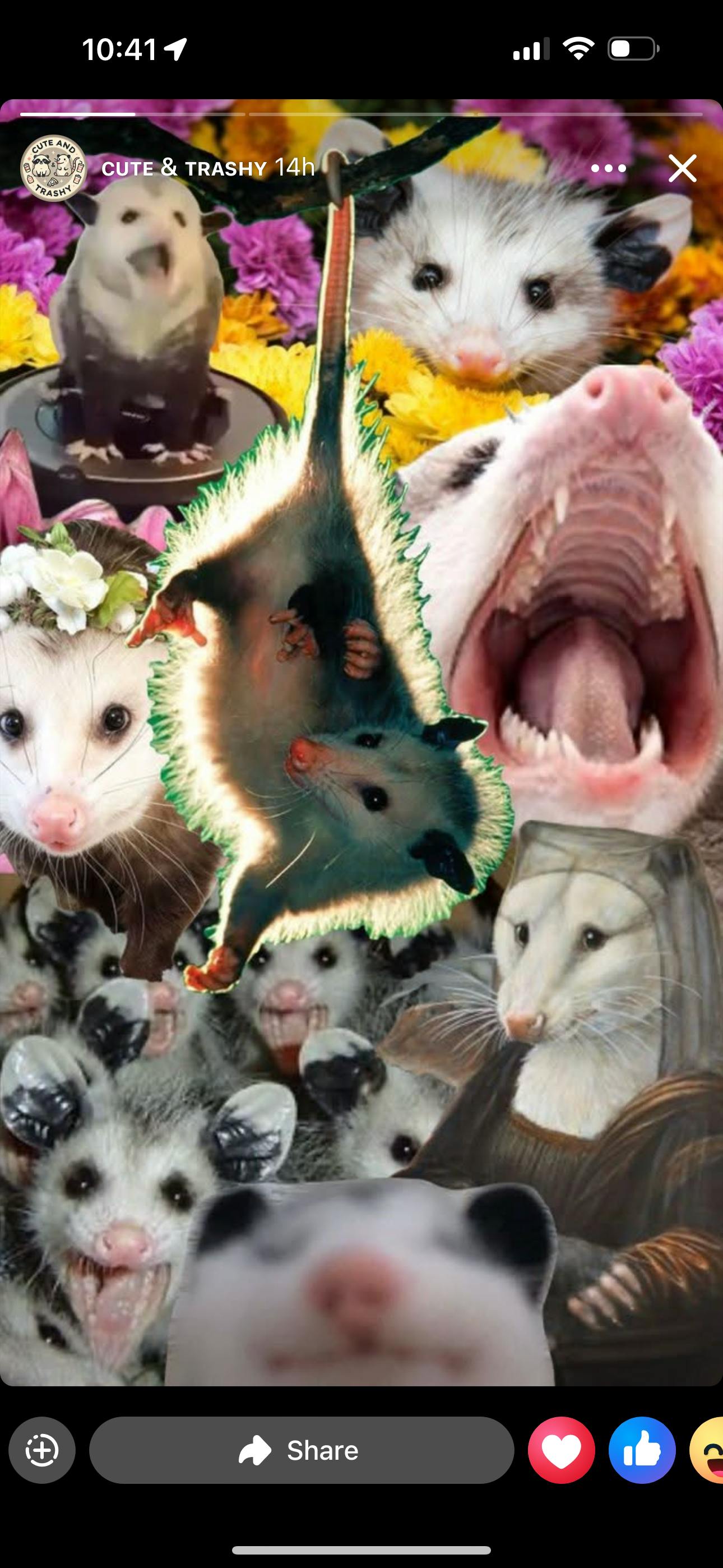 user avatar image for Kirsten