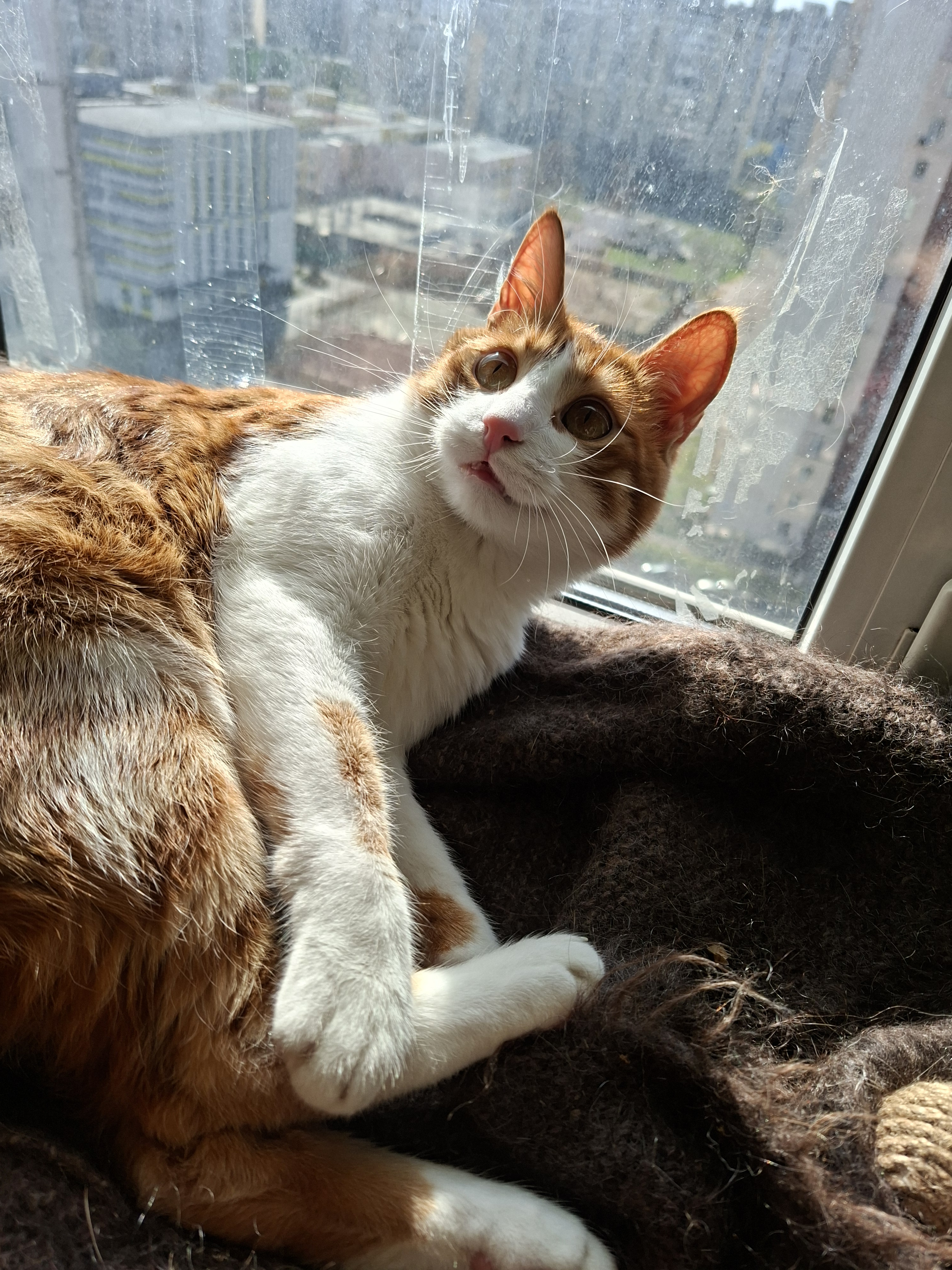 user avatar image for Maryna