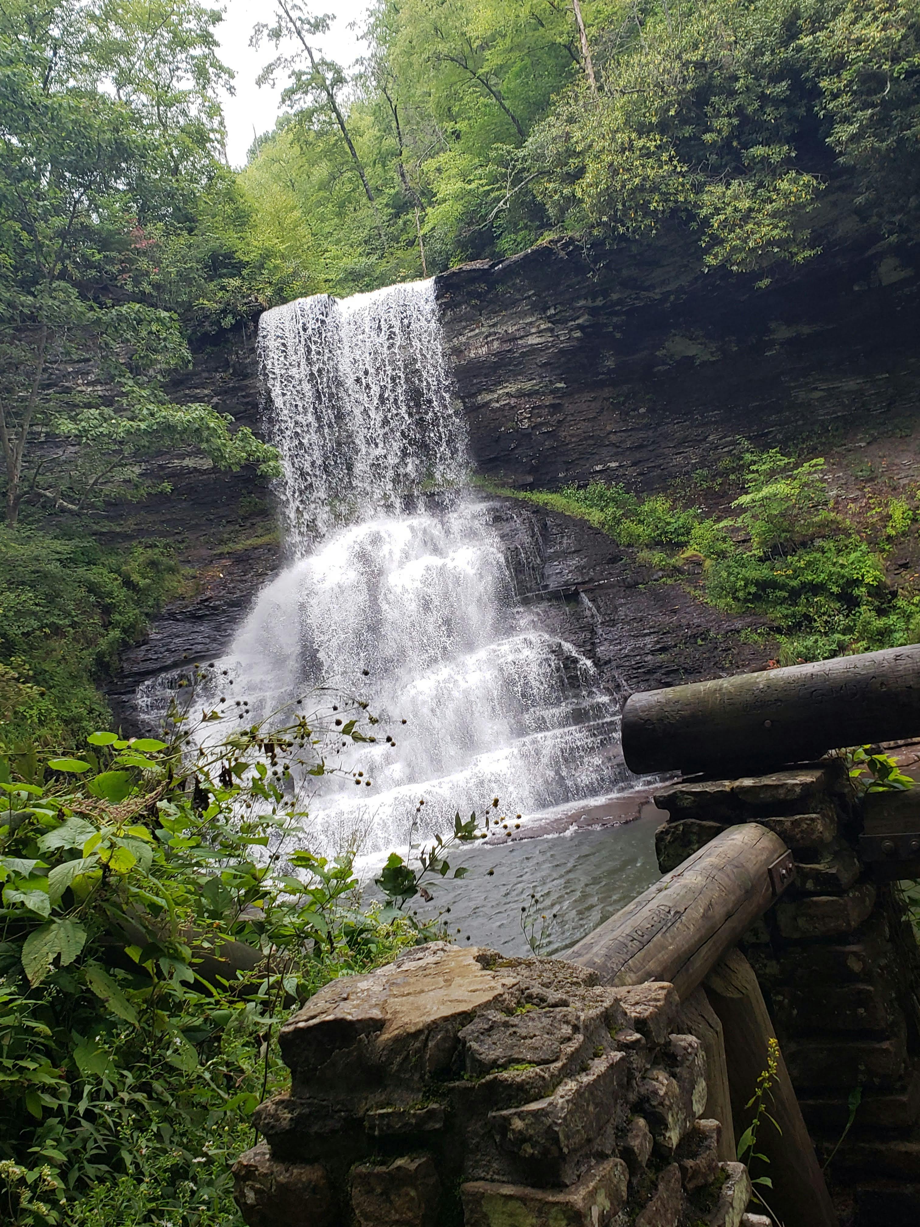 user avatar image for Chandler 