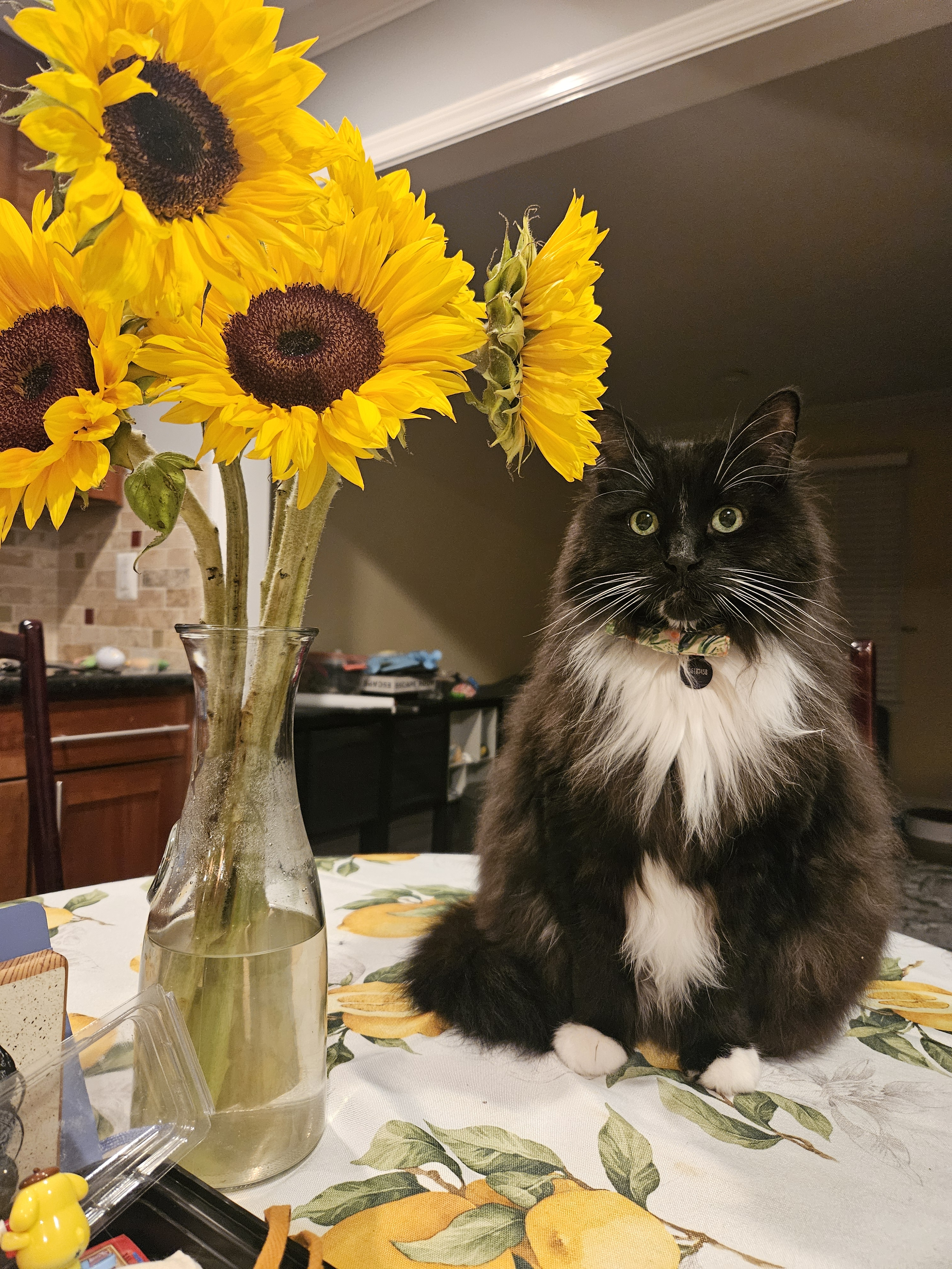 user avatar image for Catherine Y