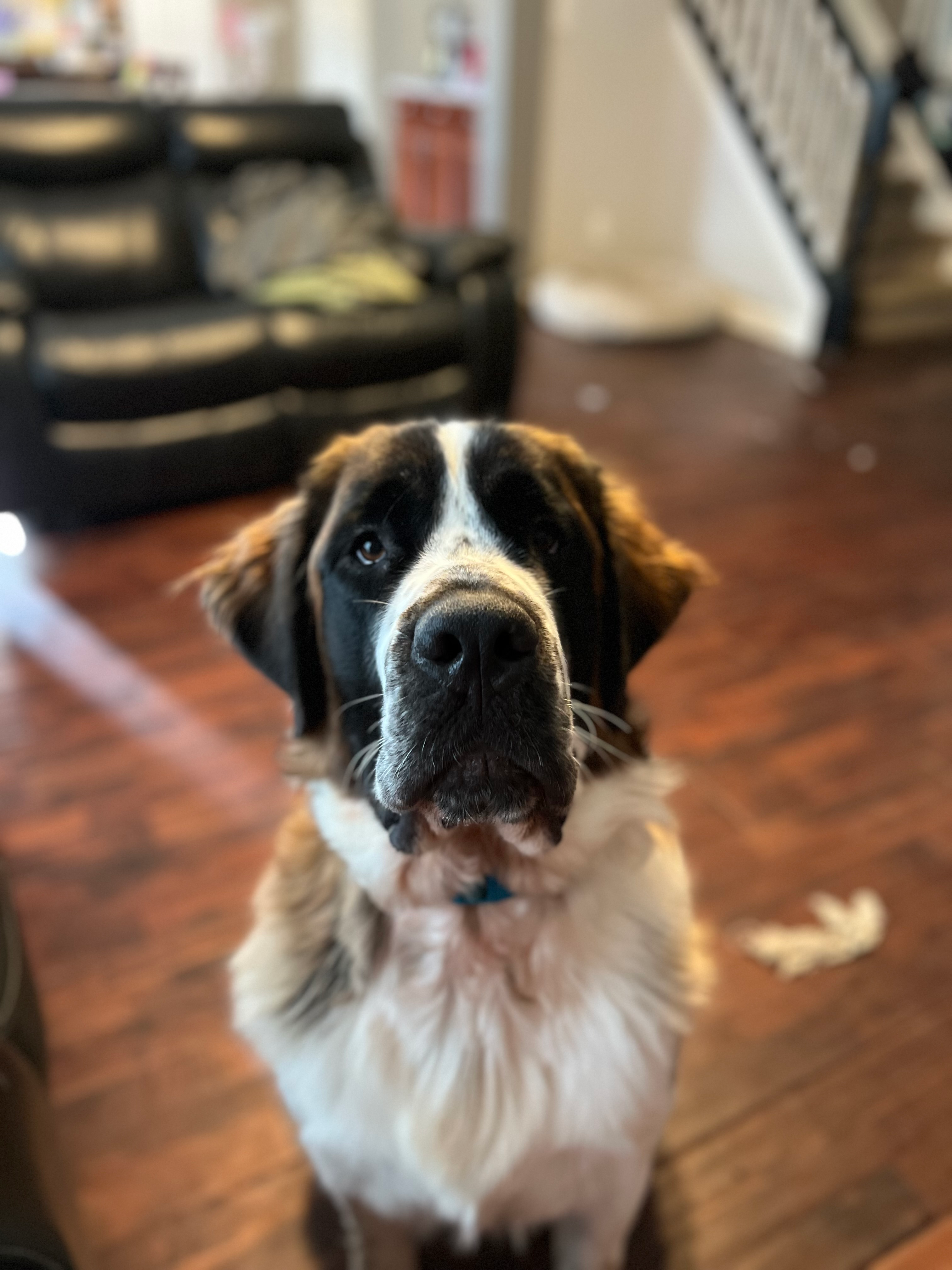 user avatar image for Eric 