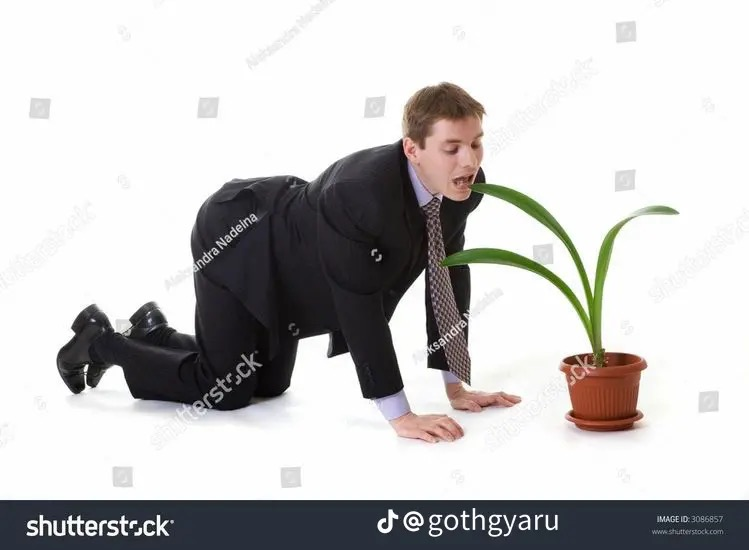 user avatar image for Fynn