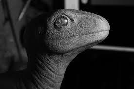 user avatar image for Datoth