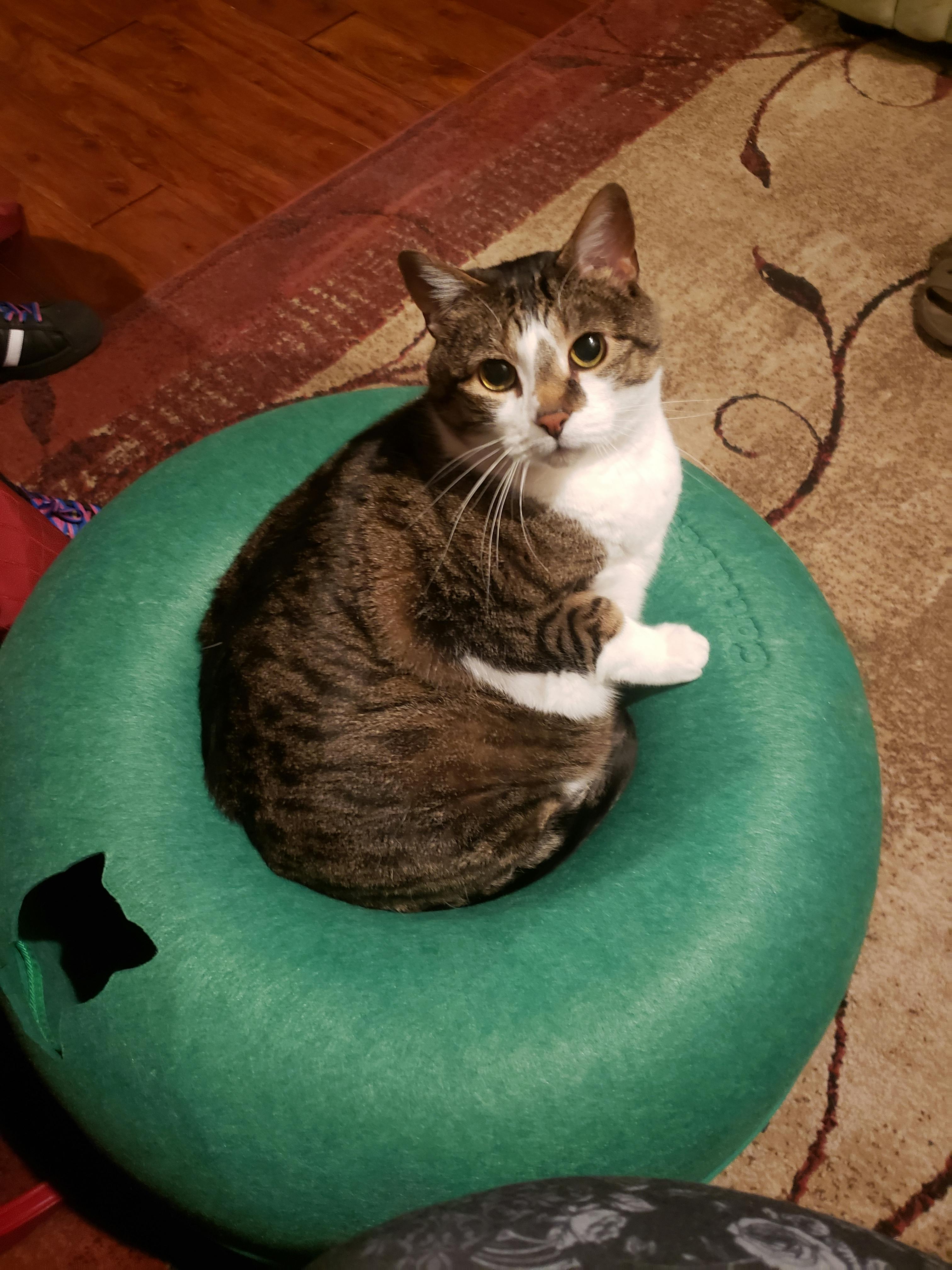 user avatar image for Litledeb