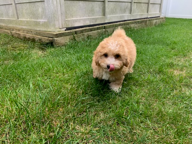 user avatar image for Nick F