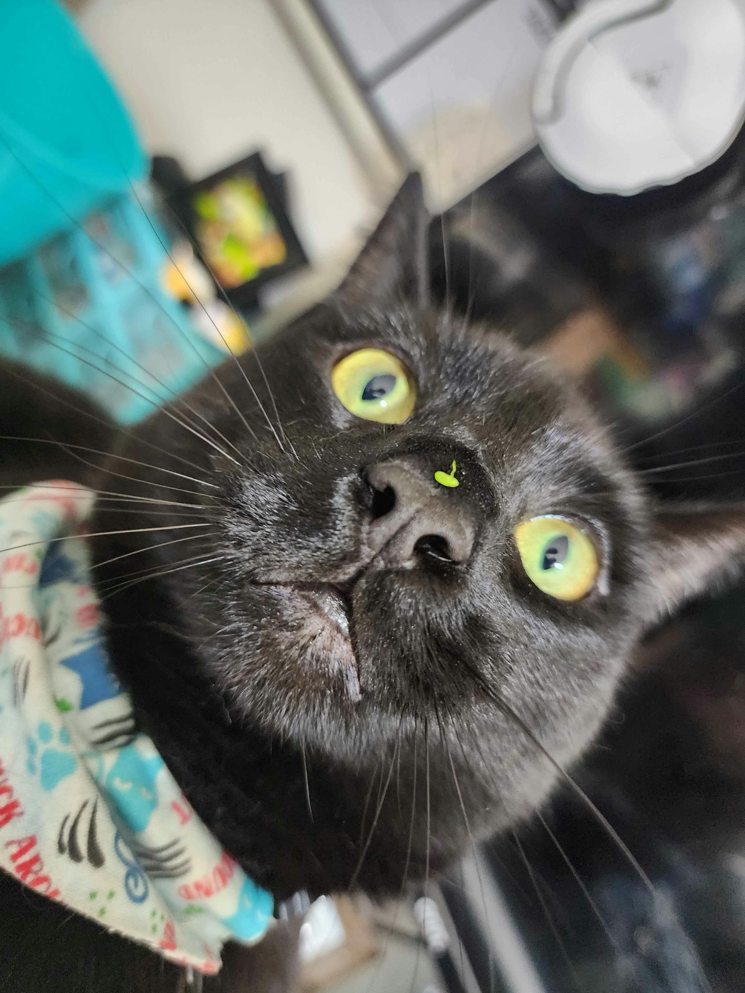 user avatar image for skrunkly 