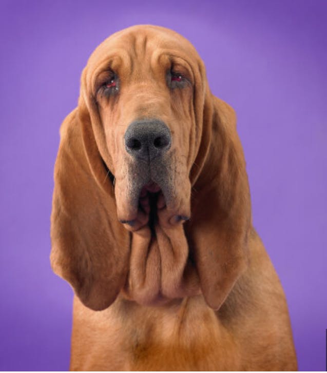 user avatar image for John Roles 