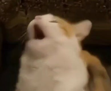 user avatar image for Emma