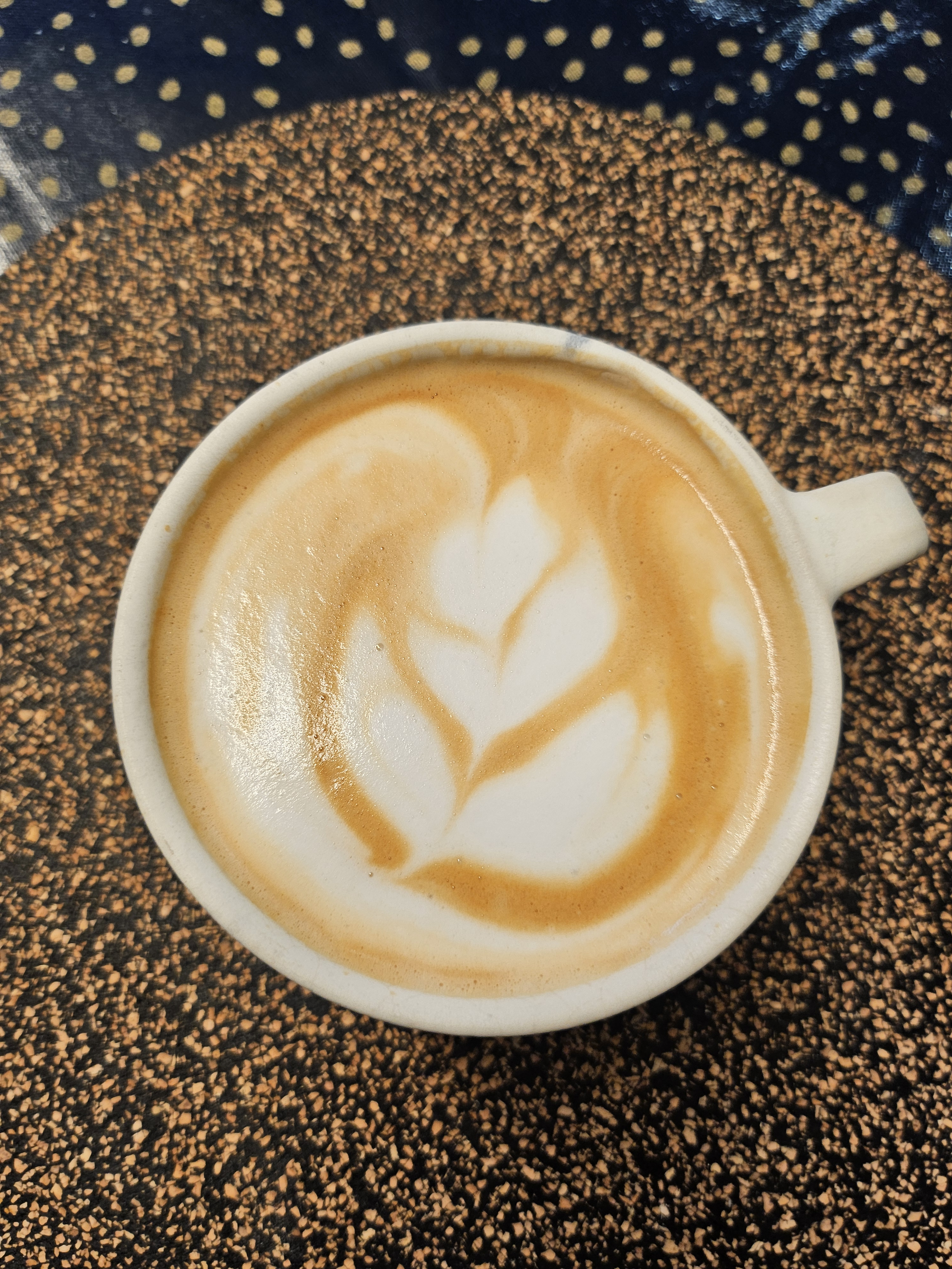 user avatar image for Nima