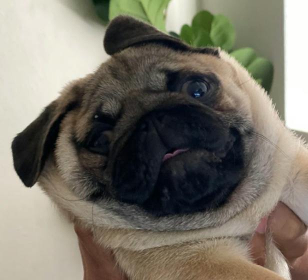 user avatar image for Edwin