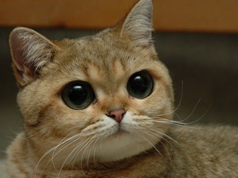 user avatar image for Matthew Miller