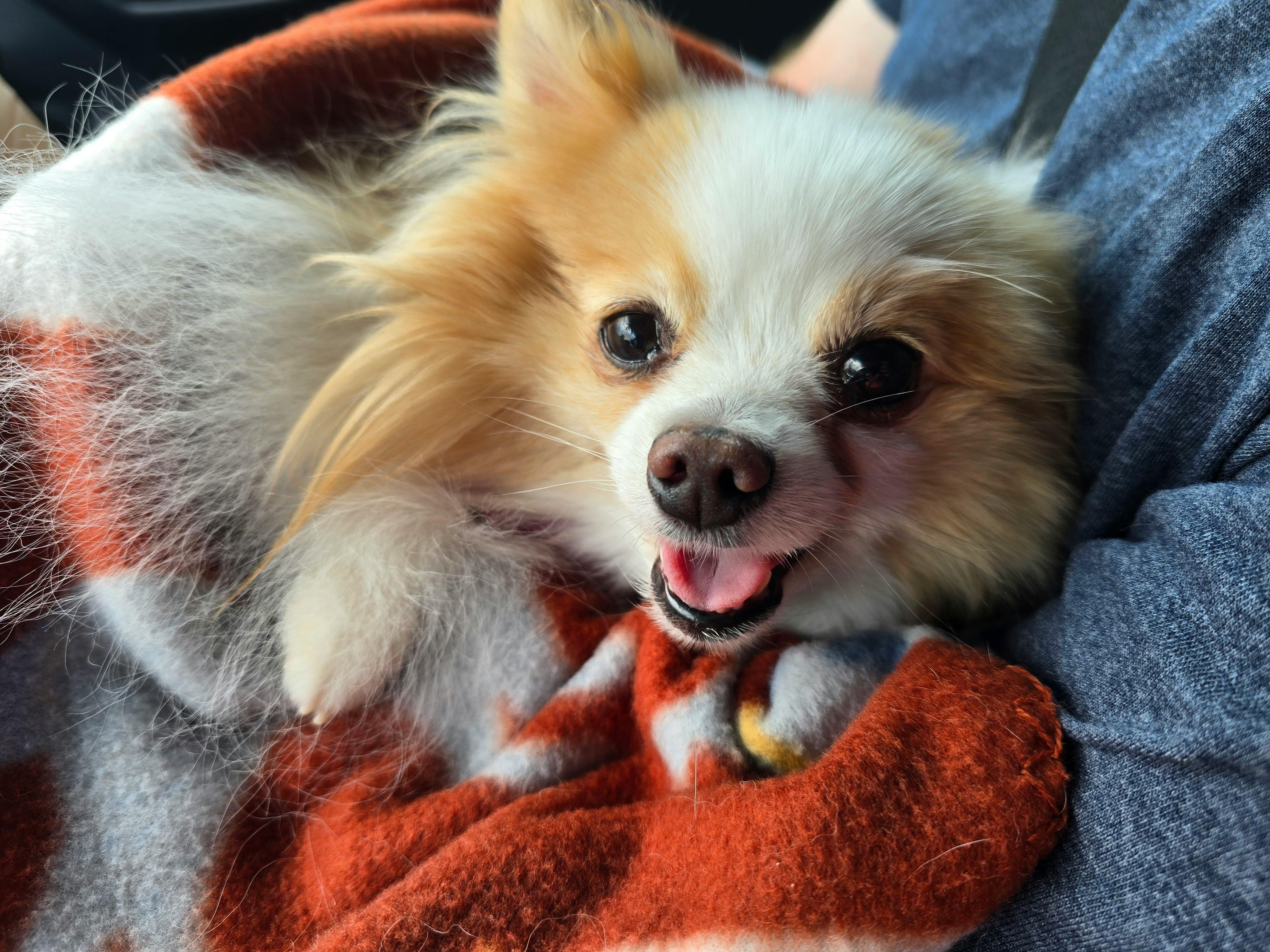 user avatar image for Shelby