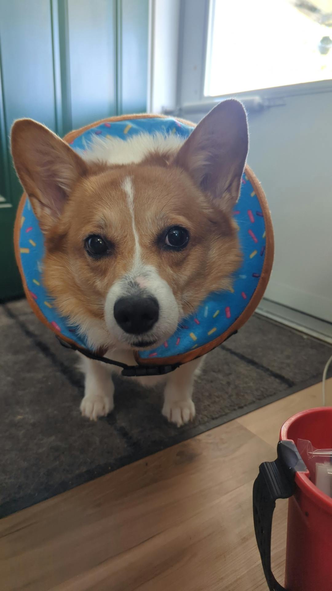 user avatar image for Kelsey L