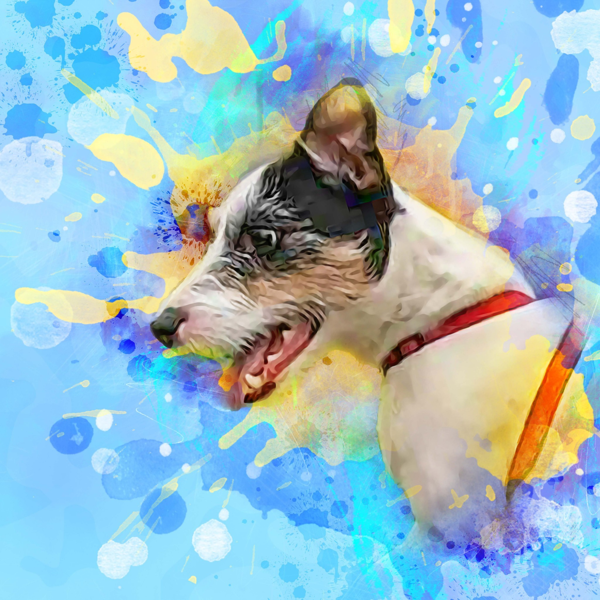 user avatar image for Cody
