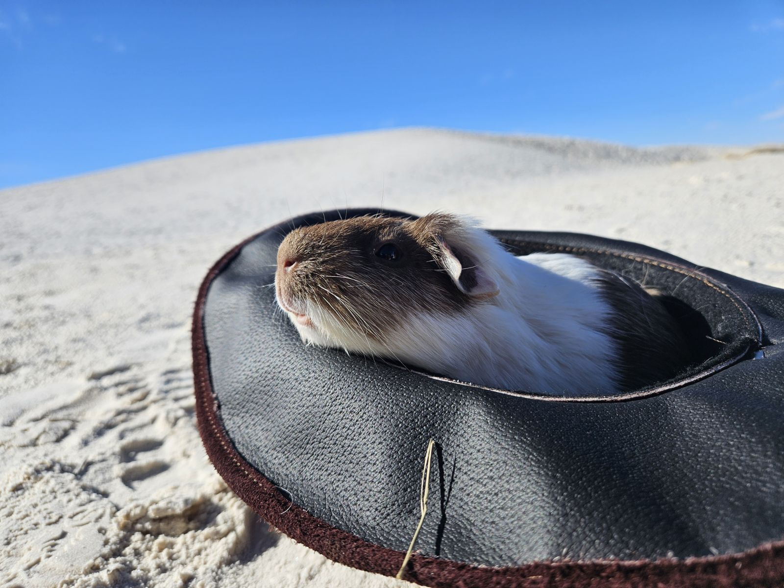 user avatar image for Quentin