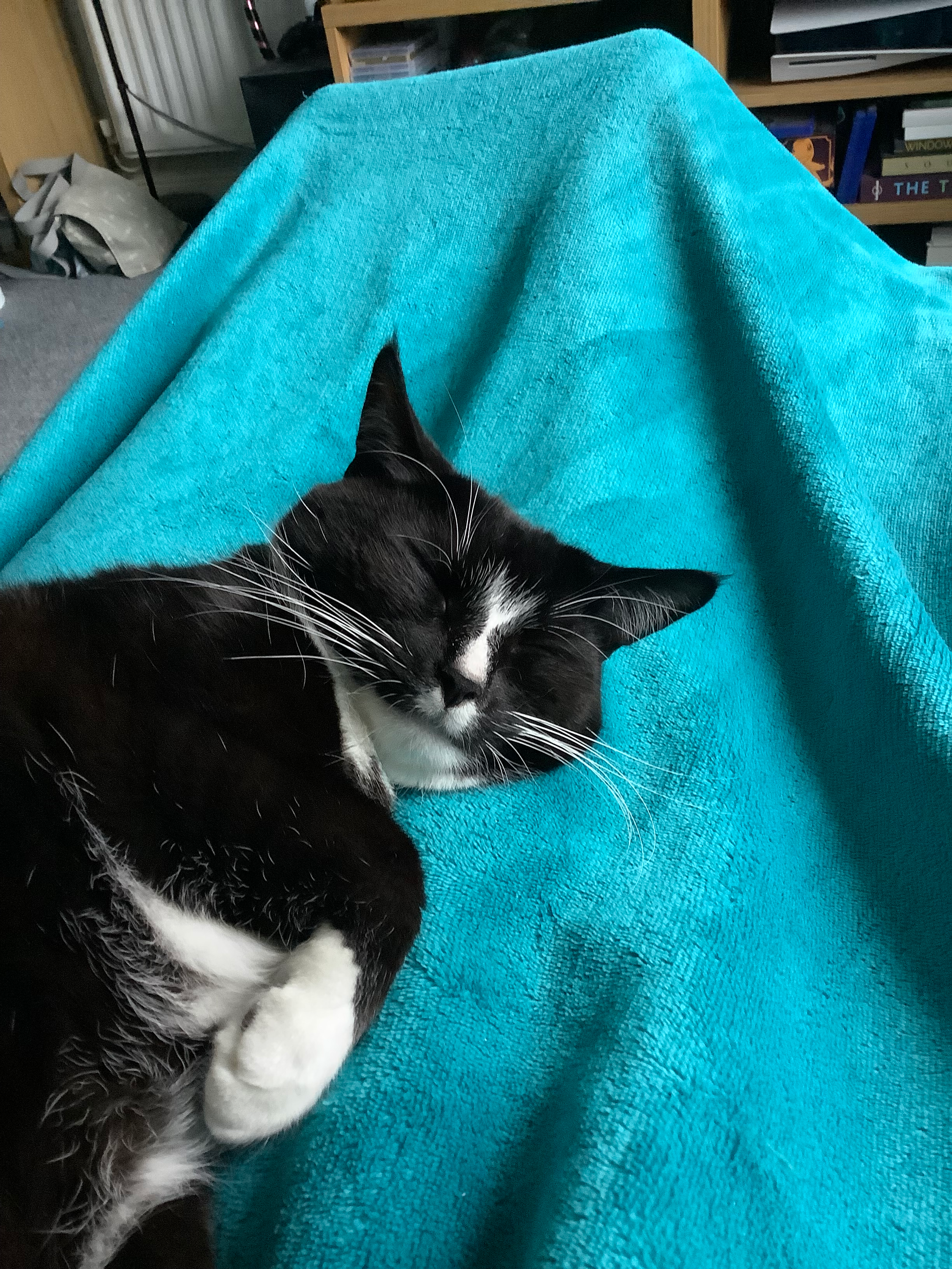 user avatar image for Esther