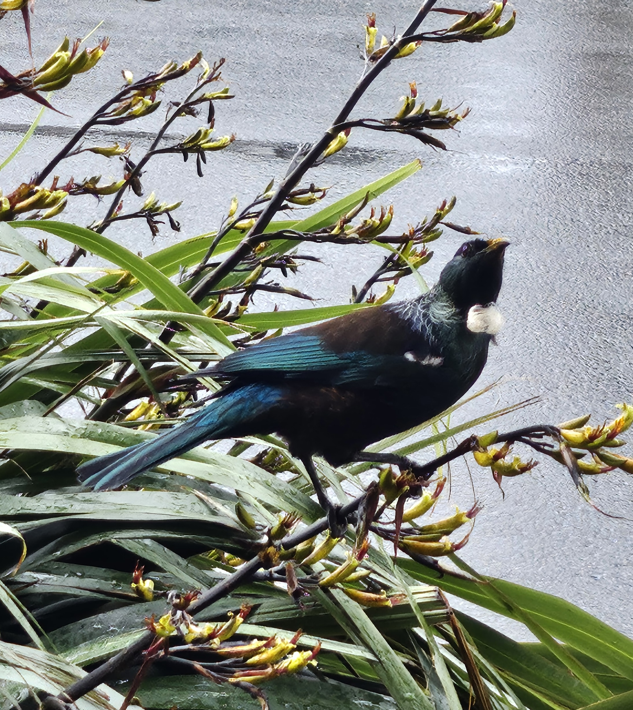 user avatar image for Jaclyn