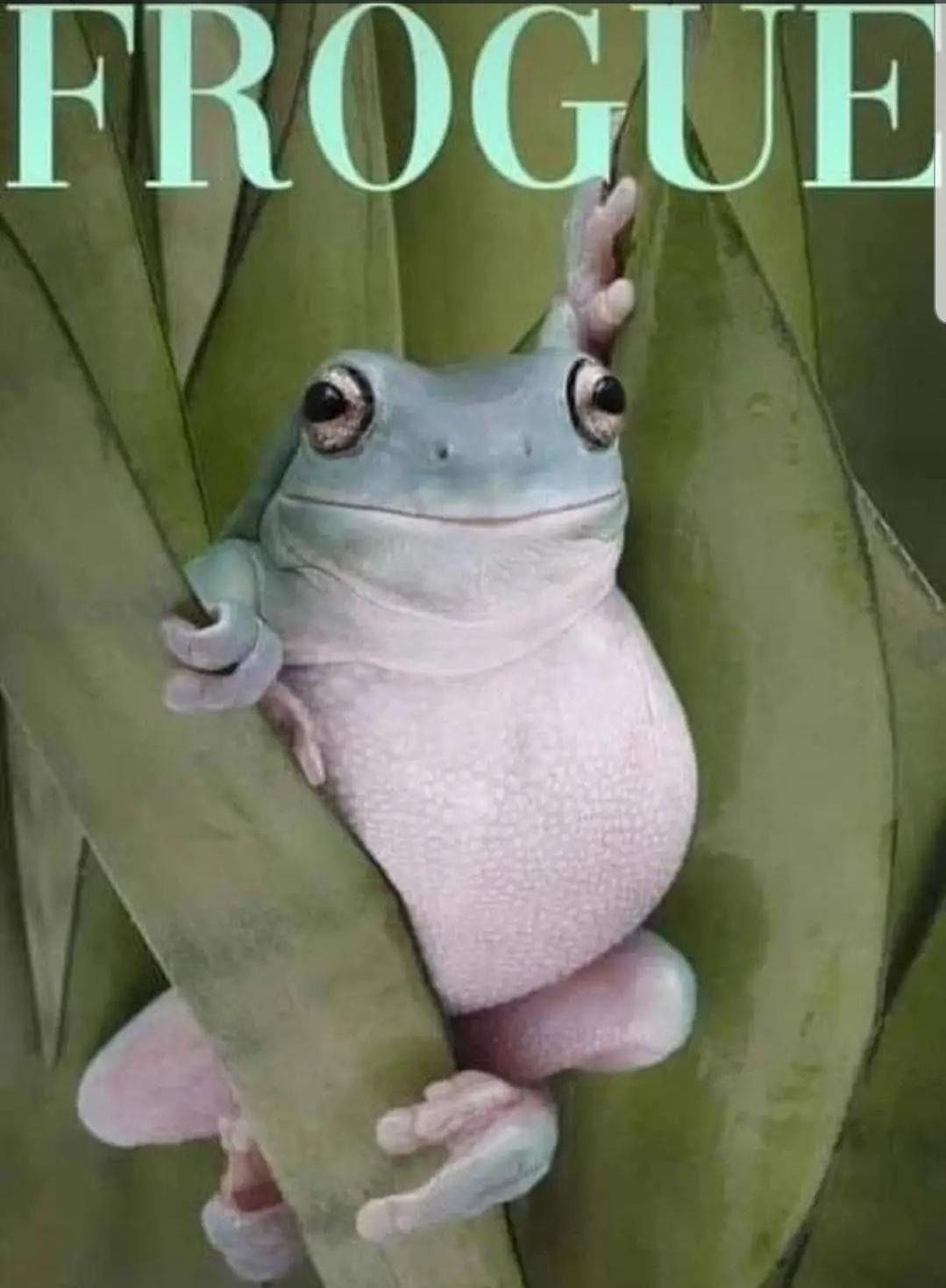 user avatar image for Frogzilla