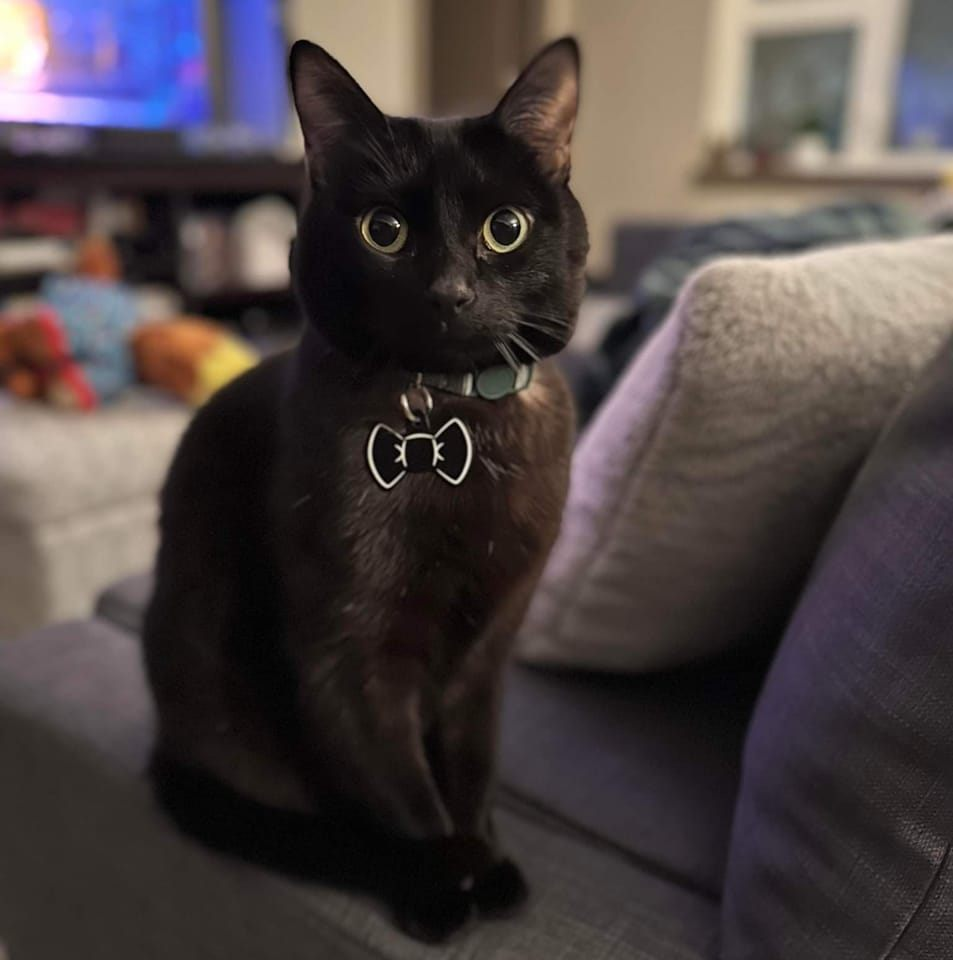 user avatar image for EMDutton