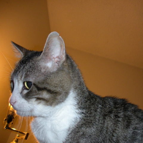 user avatar image for John McKay